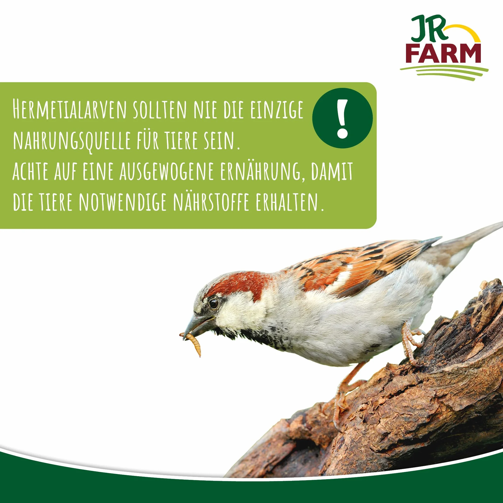 JR Farm Garden Hermetia larwy muszek żołnierskich 5 kg