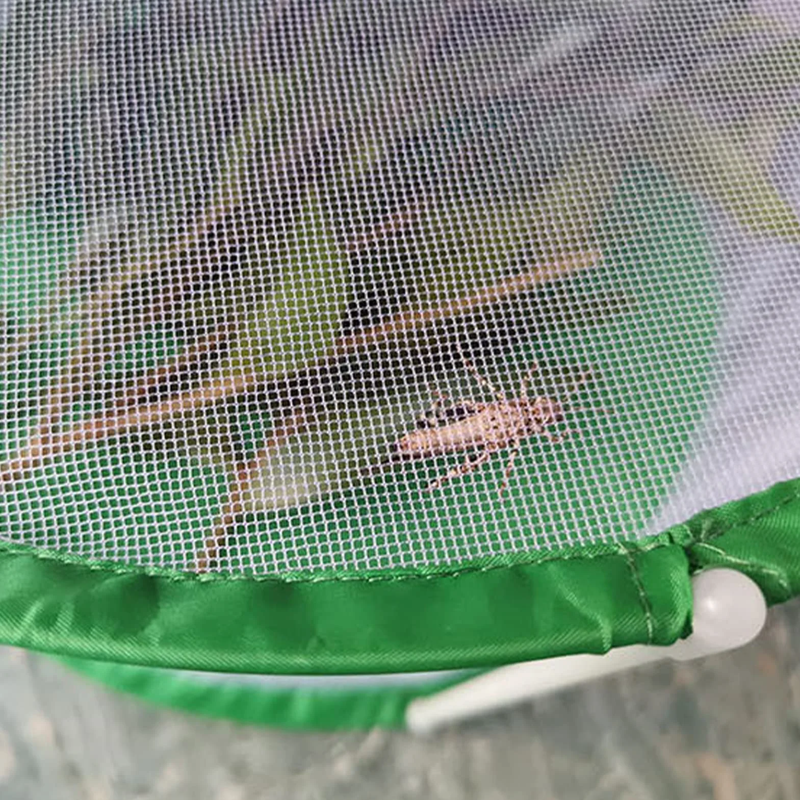 Klatka Motyli, Przezroczysta Składana Cylindryczna Obudowa Motyla do Wnętrz na Zewnątrz, Siedlisko Motyli, Idealne dla Dzieci i Eksperymentów Biologicznych, Wspaniale jako dla Amatorów Owadów