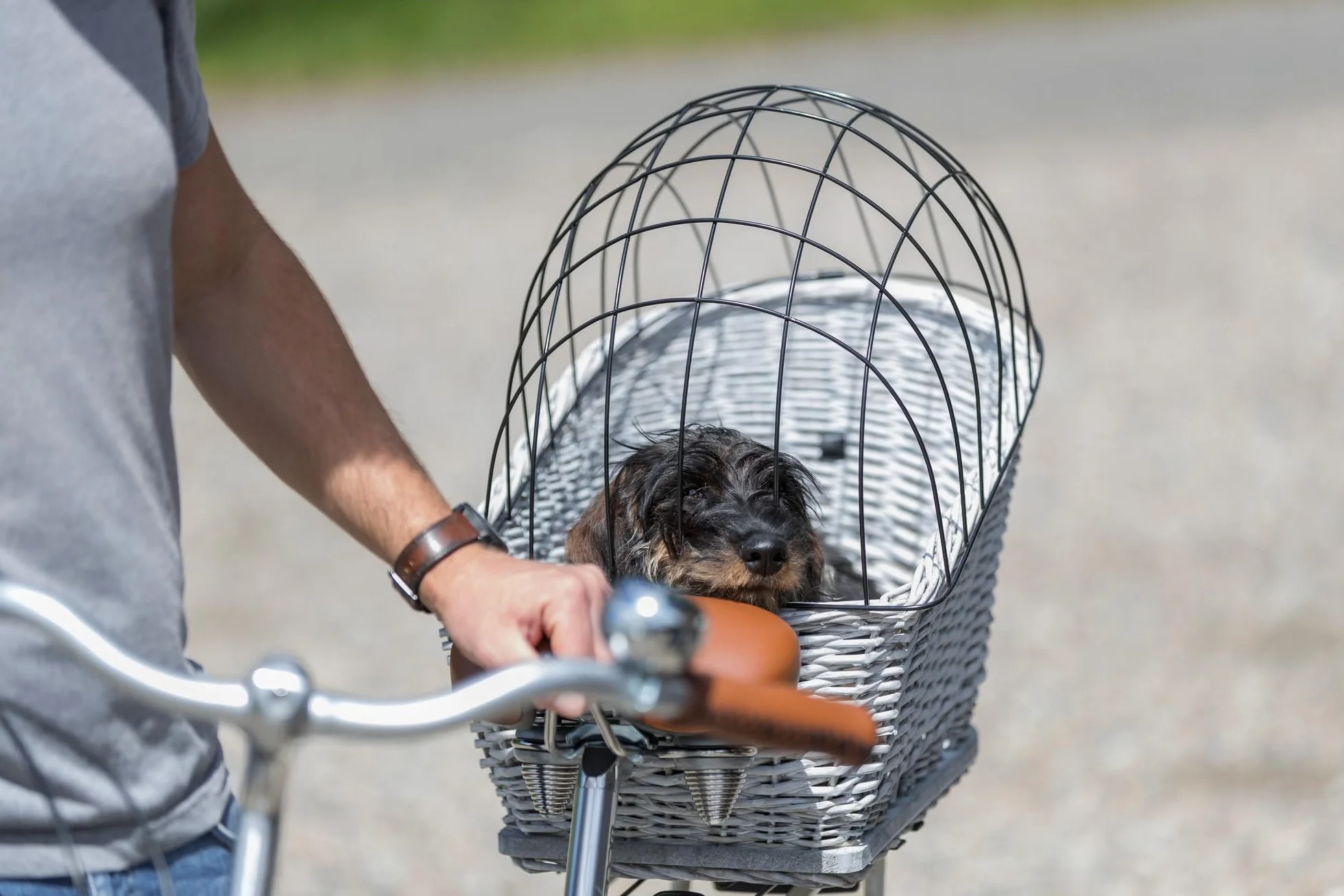 TRIXIE Kosz rowerowy dla psów do 8 kg 35×49×55 cm tkany z kratką ochronną i poduszką