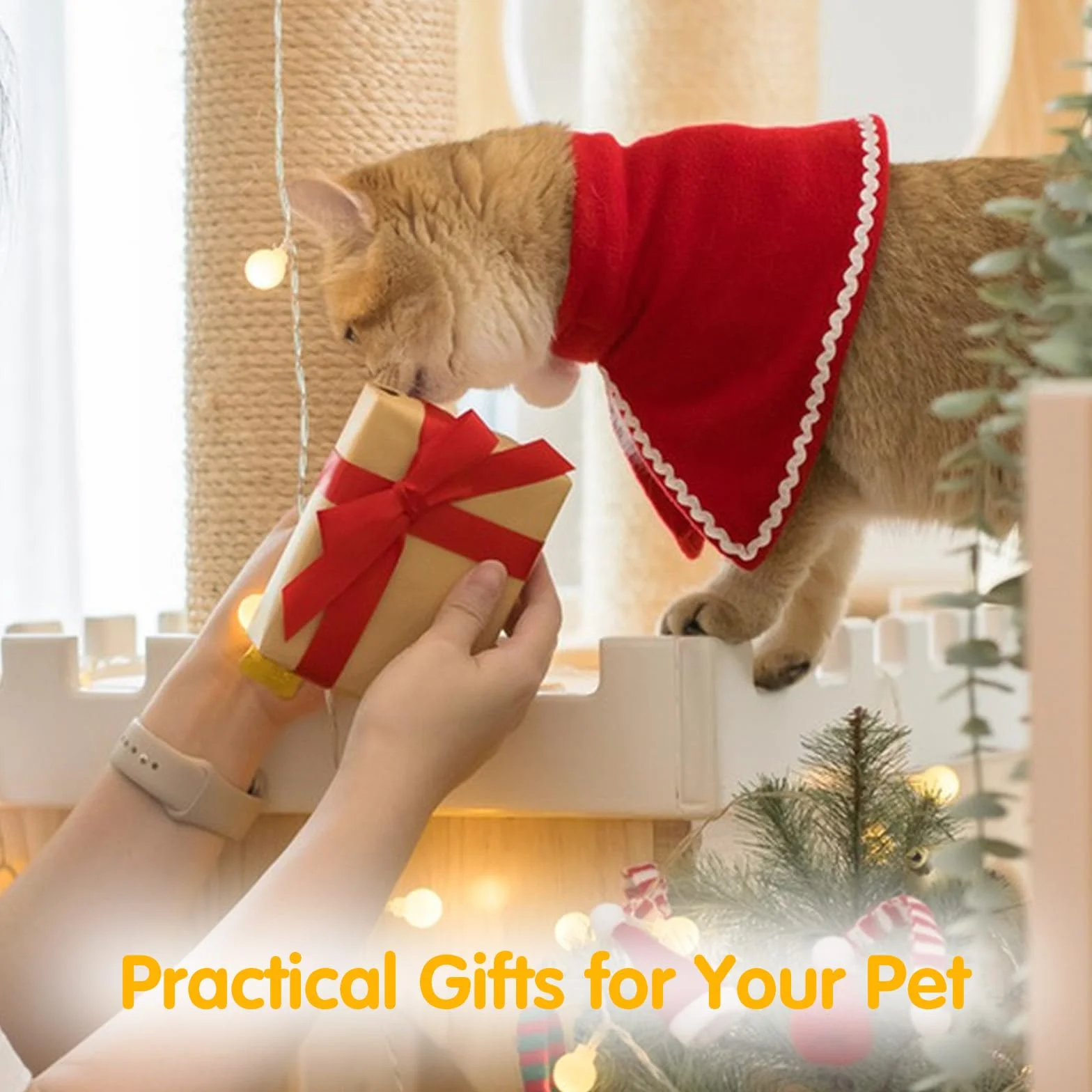 Obcinacz do paznokci kotów ze stali nierdzewnej nożyce do pazurów bezpieczeństwa z grzebieniem