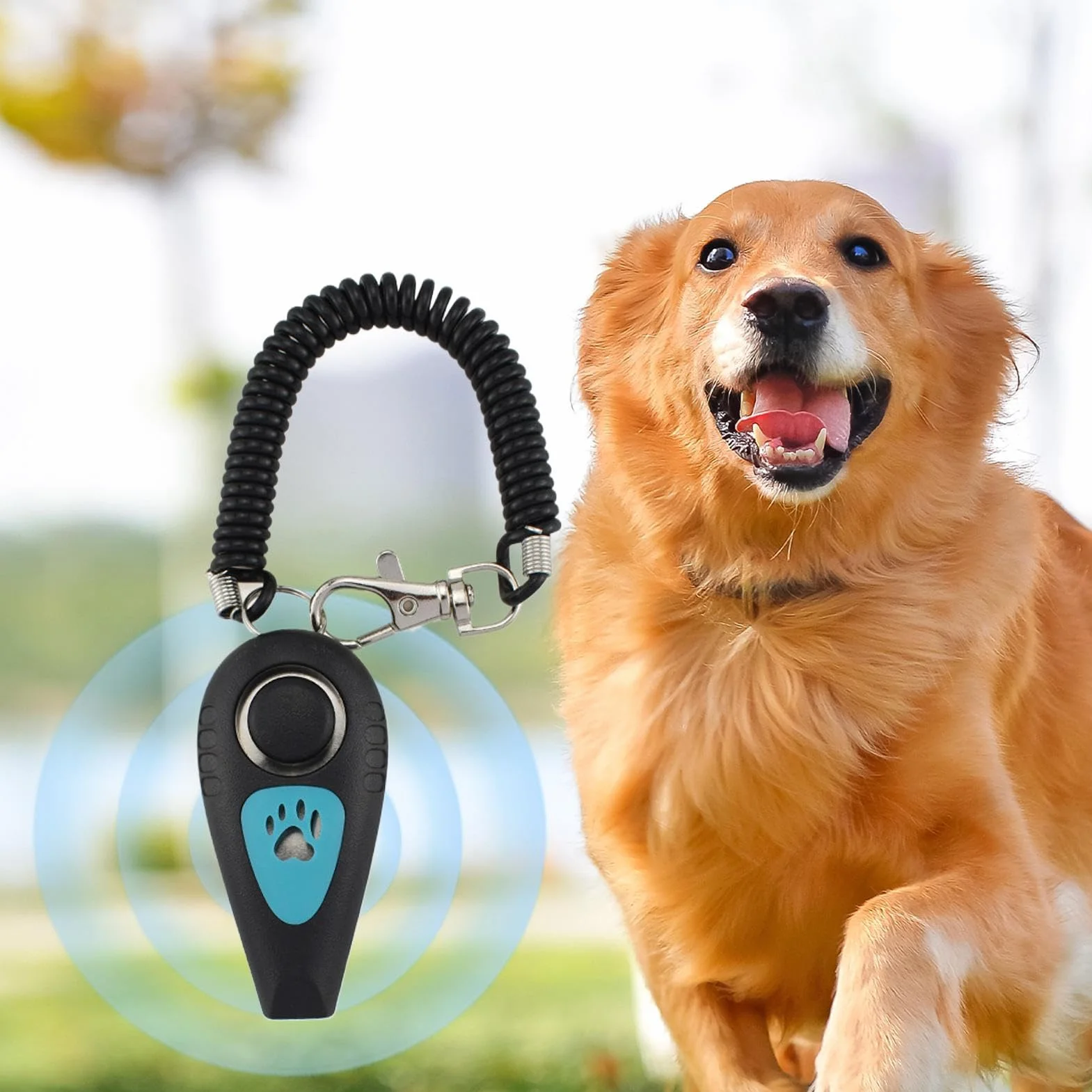 Clicker 2 w 1 dla zwierz?t – Cichy akcesorium behawioralne z paskiem nadgarstek i gwizdkiem