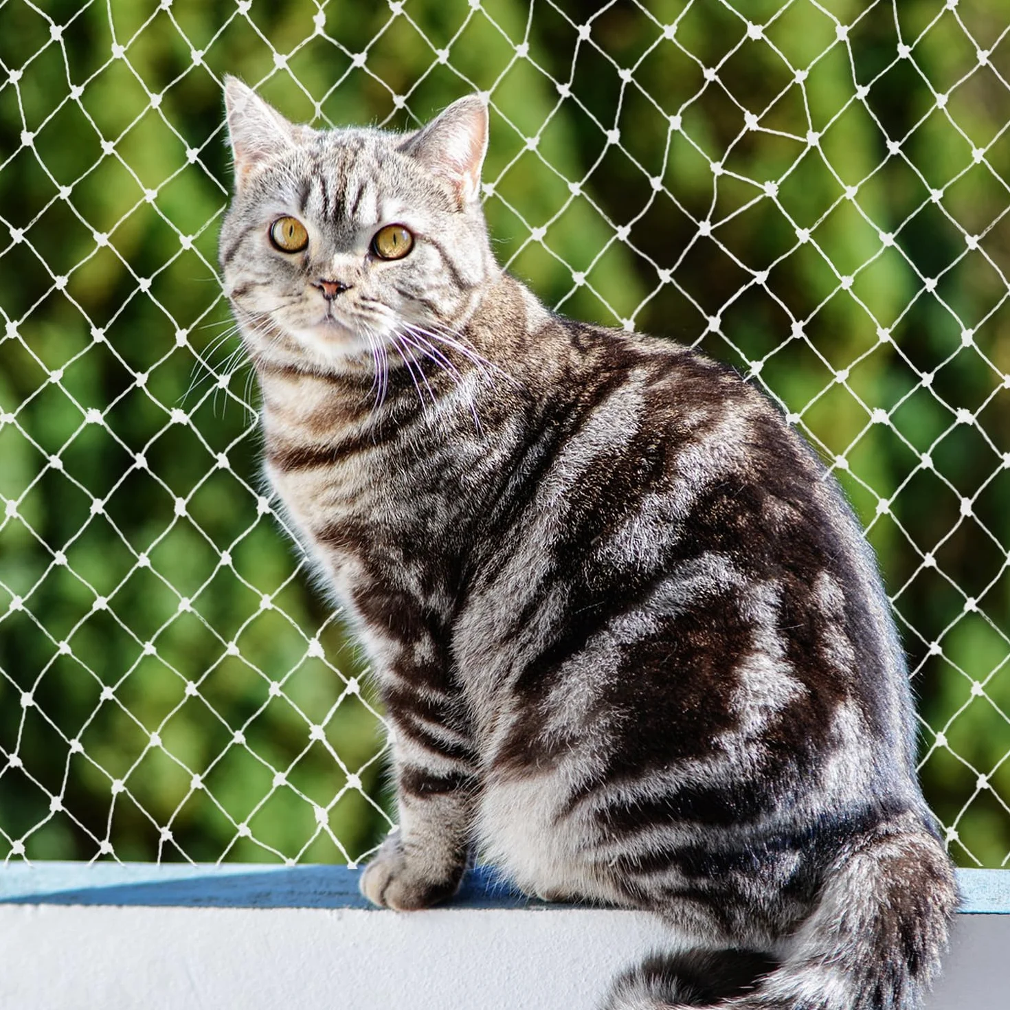 Siatka balkonowa dla kota przezroczysta nylonowa 10 x 3 m odporna na rozerwanie