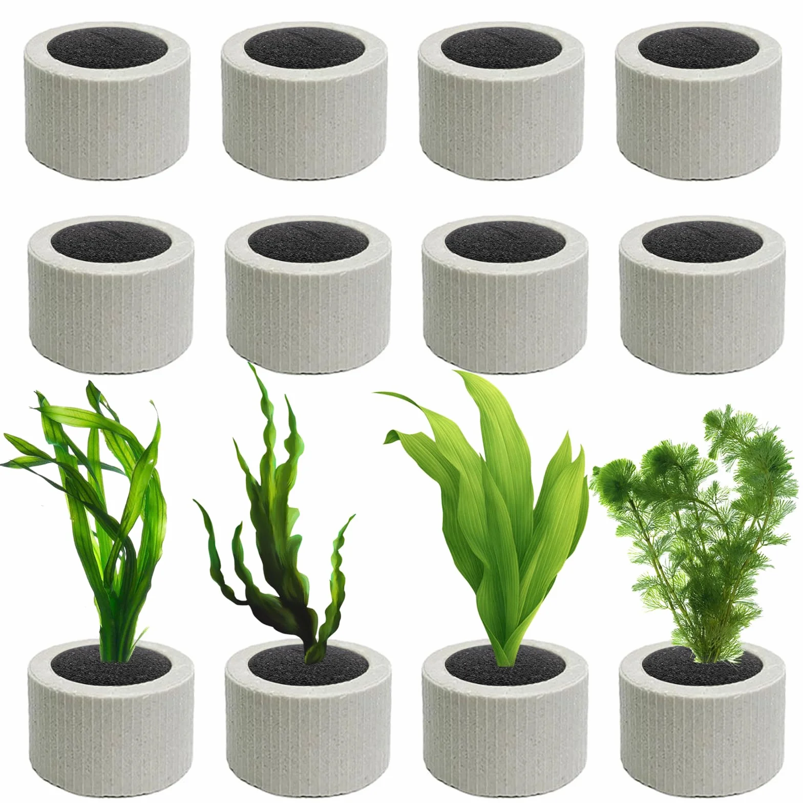 Obciążniki do akwarium do roślin wodnych 12 sztuk pierścienie ceramiczne z bawełną roślinną
