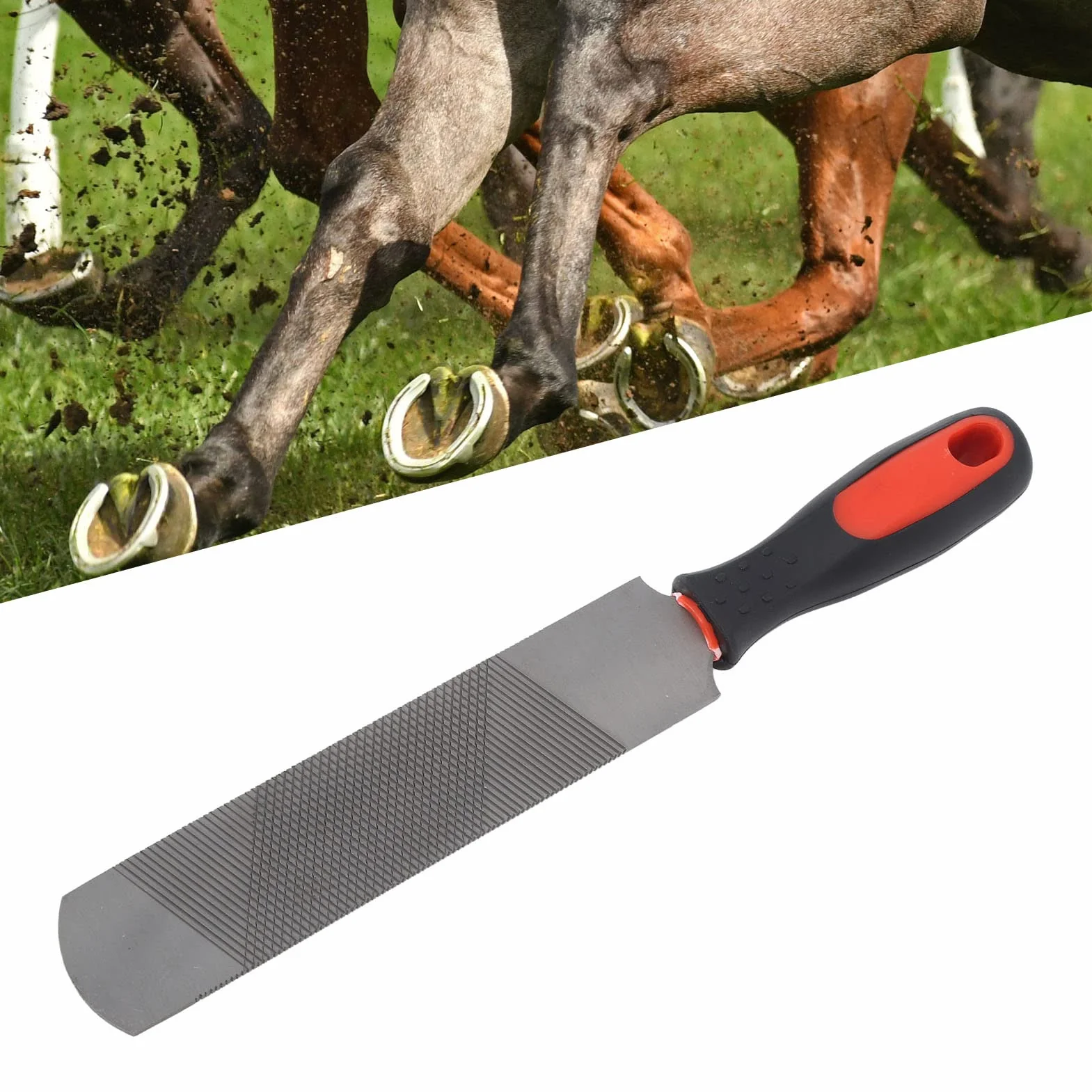 Dwustronny tarnik do kopyt ze stali węglowej 20 cm, ergonomiczny pilnik do przycinania kopyt koni