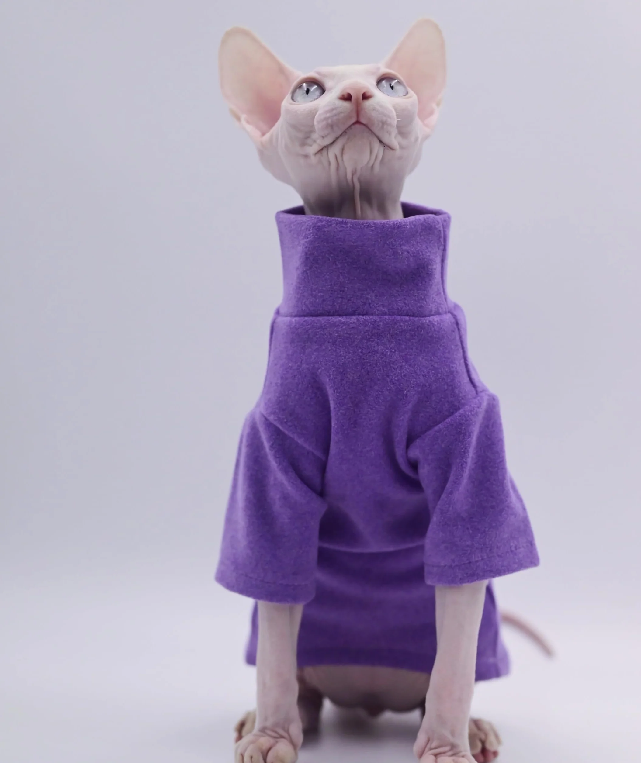 Sphynx Ubrania dla kotów, samonagrzewające się, ciepła bielizna termiczna, bezwłose, ubrania dla kota Sfinksa, Devon, Cornish ubrania dla kotów i małych kotów i psów (czarne), rozmiar L
