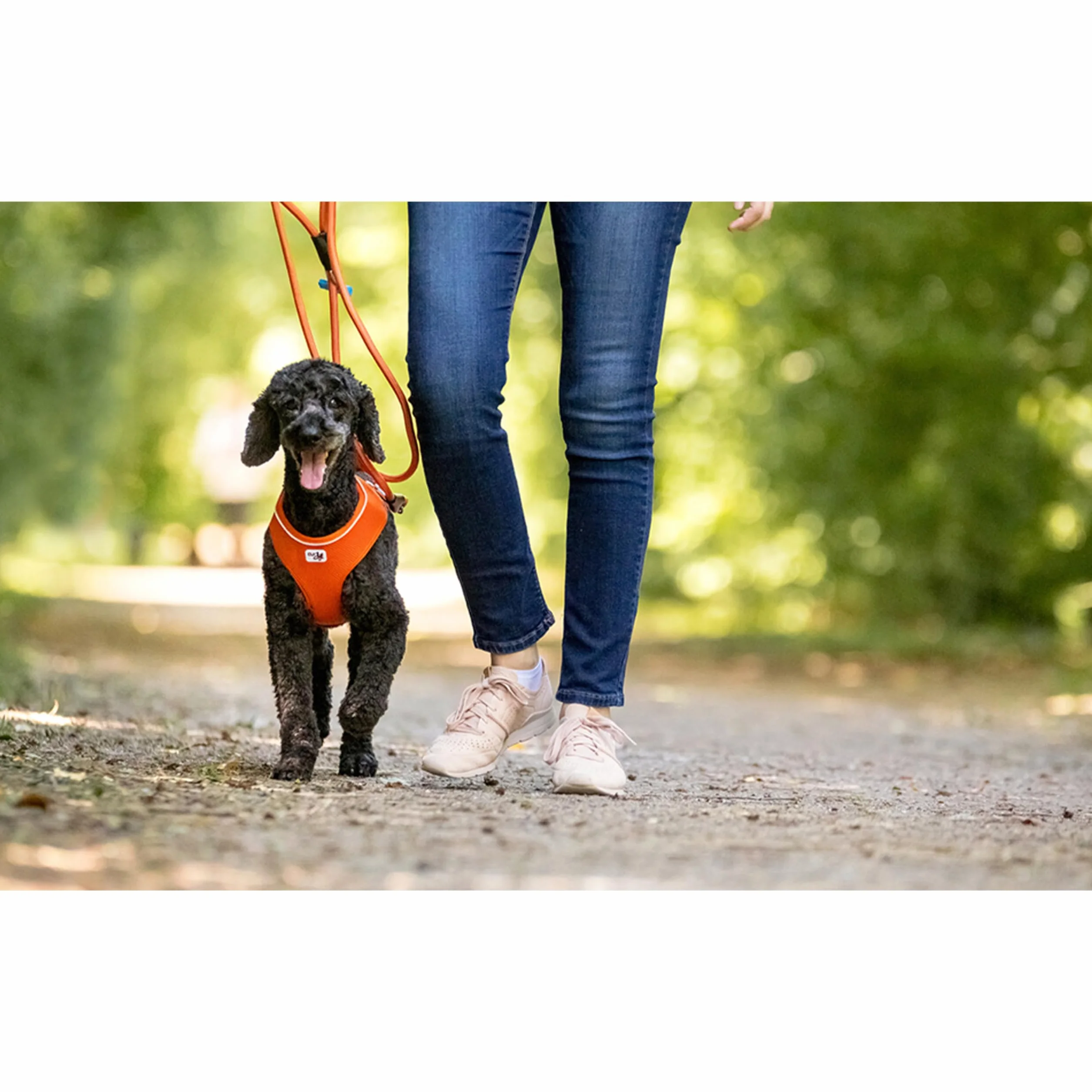 Air-Mesh Basic Harness Black M