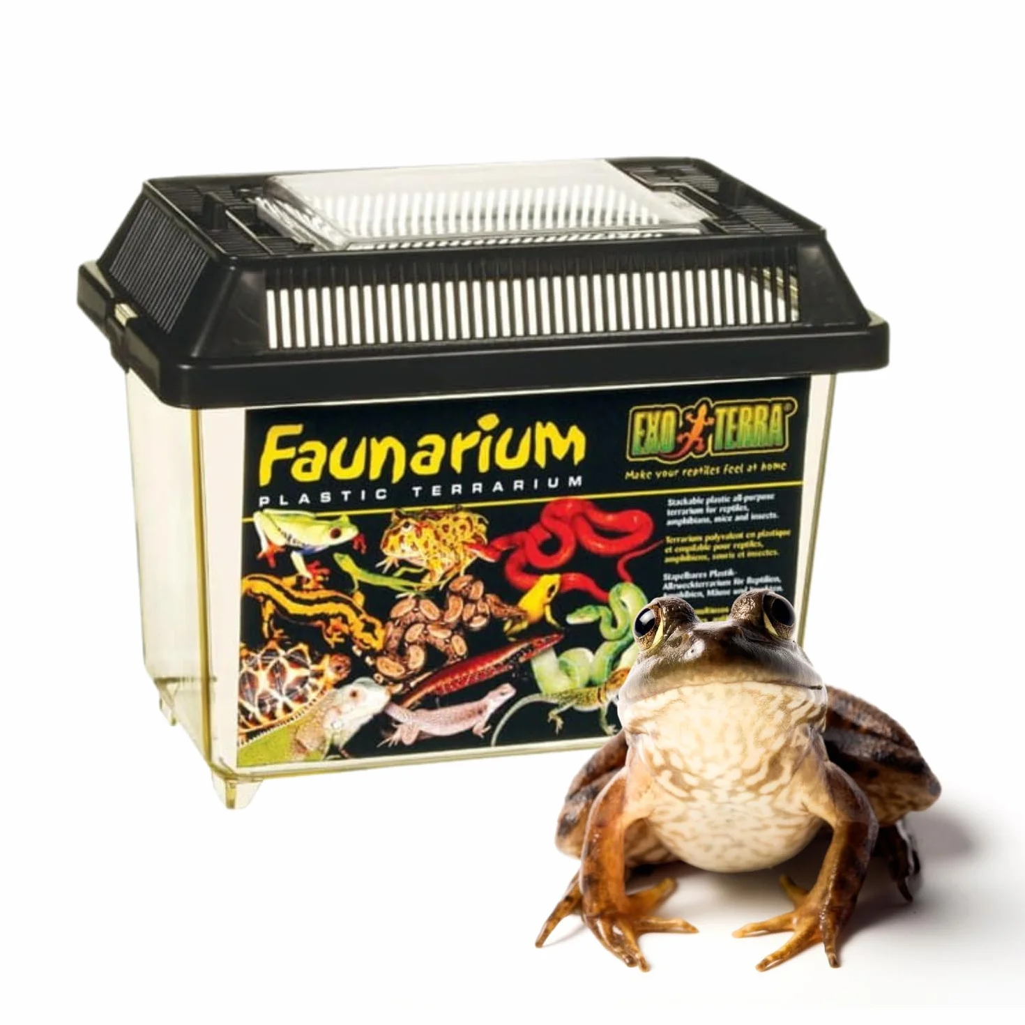 Exo Terra Faunarium Terrarium 37 x 22 x 25 cm czarne