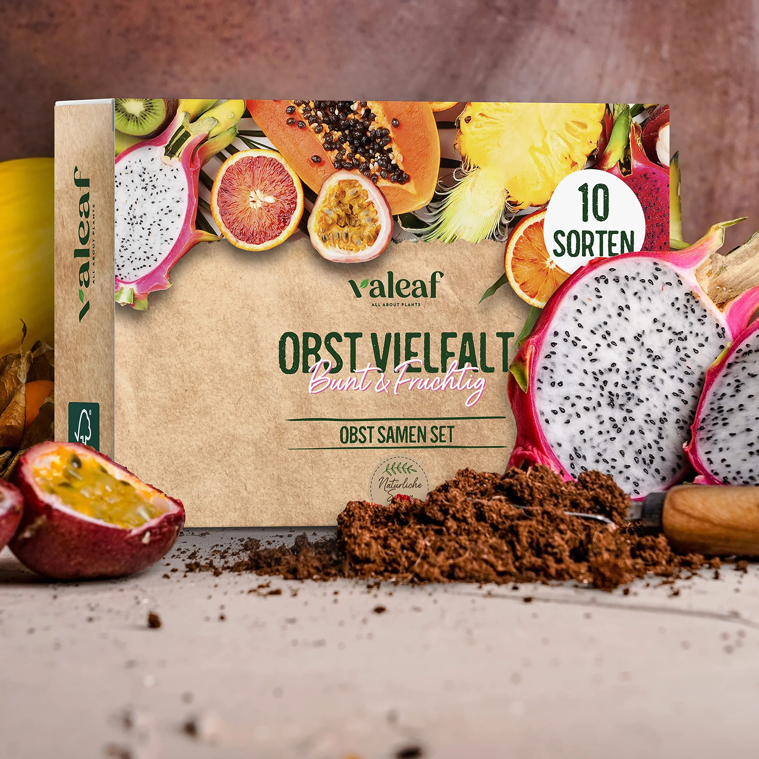 valeaf Obst Samen Set I 10 Sorten Obstsamen I Premium Saatgut Obst I Pflanzen Set inkl. Obst Samen I Erdbeersamen, Melonen Samen, Physalis, Drachenfrucht I Pflanzen Samen I ideales Samen Set Geschenk