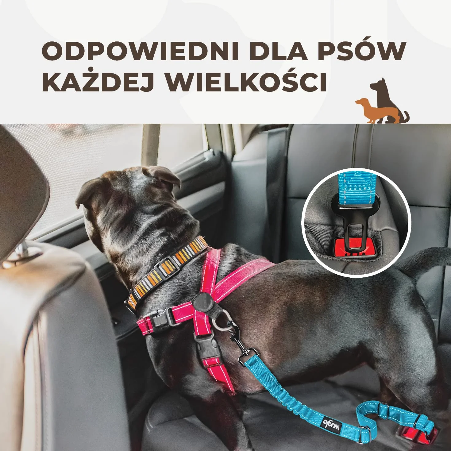 Pasy bezpieczeństwa
