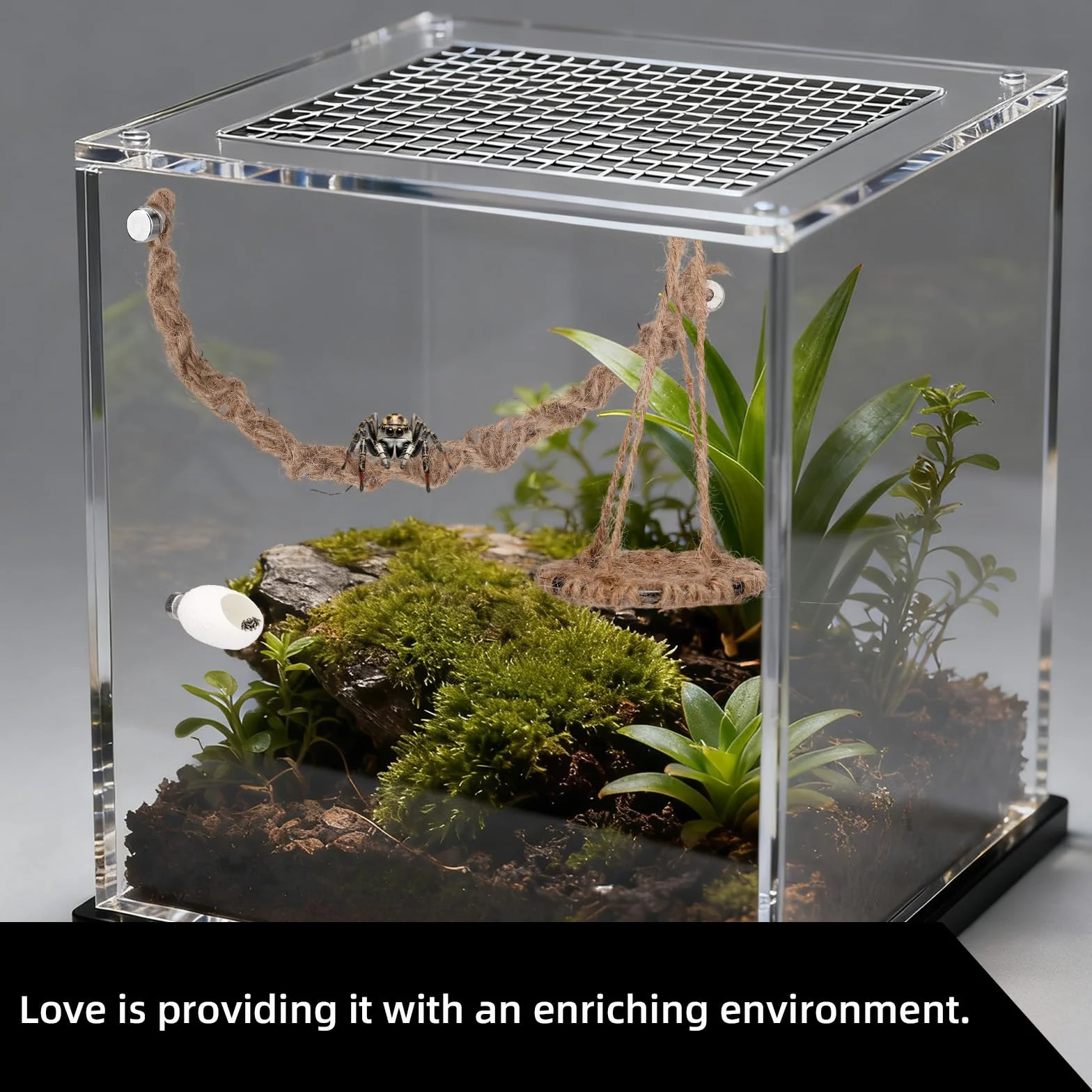 Zestaw Akcesoriów do Terrarium dla Pająków Skaczących 3 szt. Huśtawka z Bawełnianej Liny Platforma Gniazdo Dekoracja