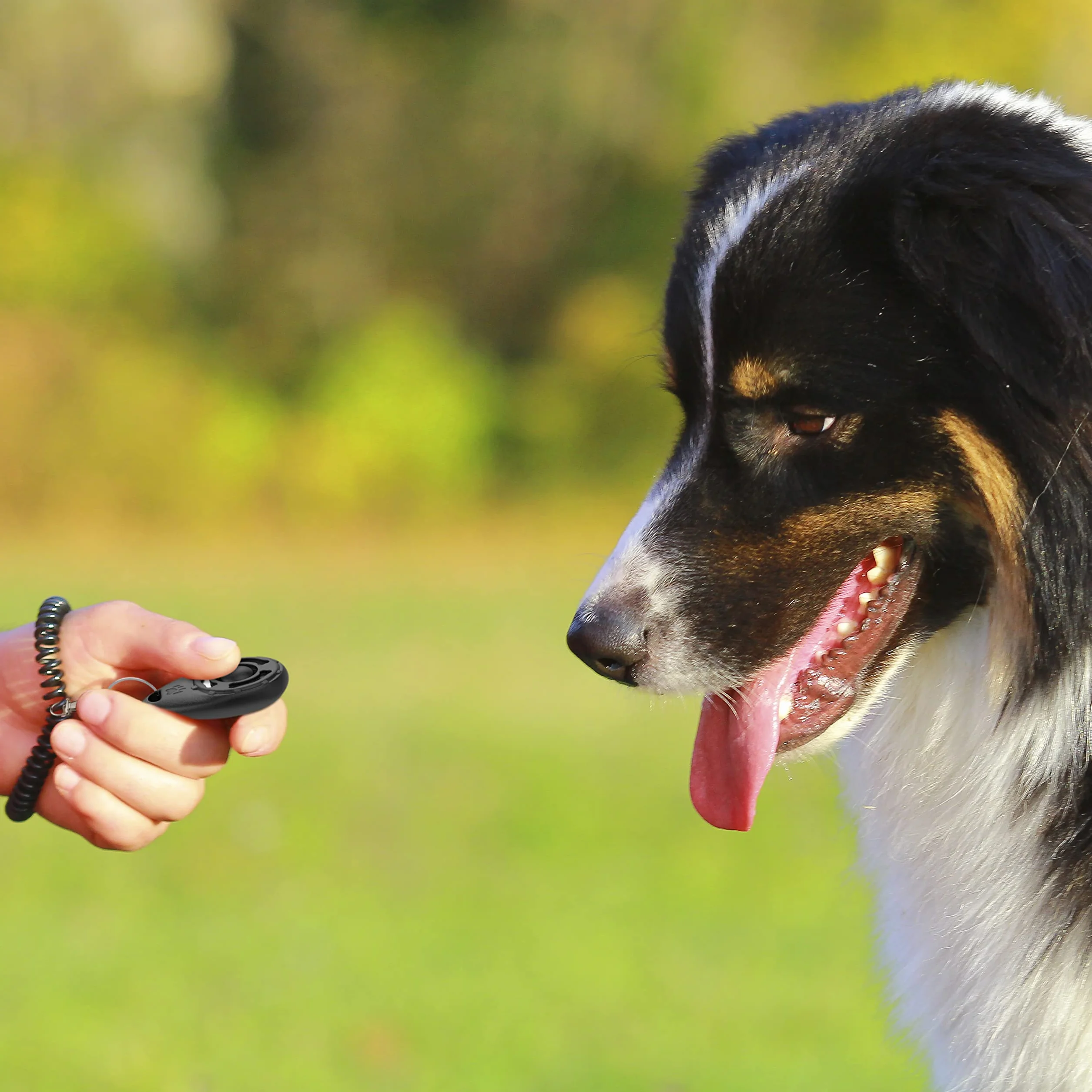 TruePets® Clicker Doog Clicker z elastycznym paskiem na rękę, z zatrzaskiem, idealnie nadaje się do edukacji psa, Clicker Doog (czarny/niebieski)