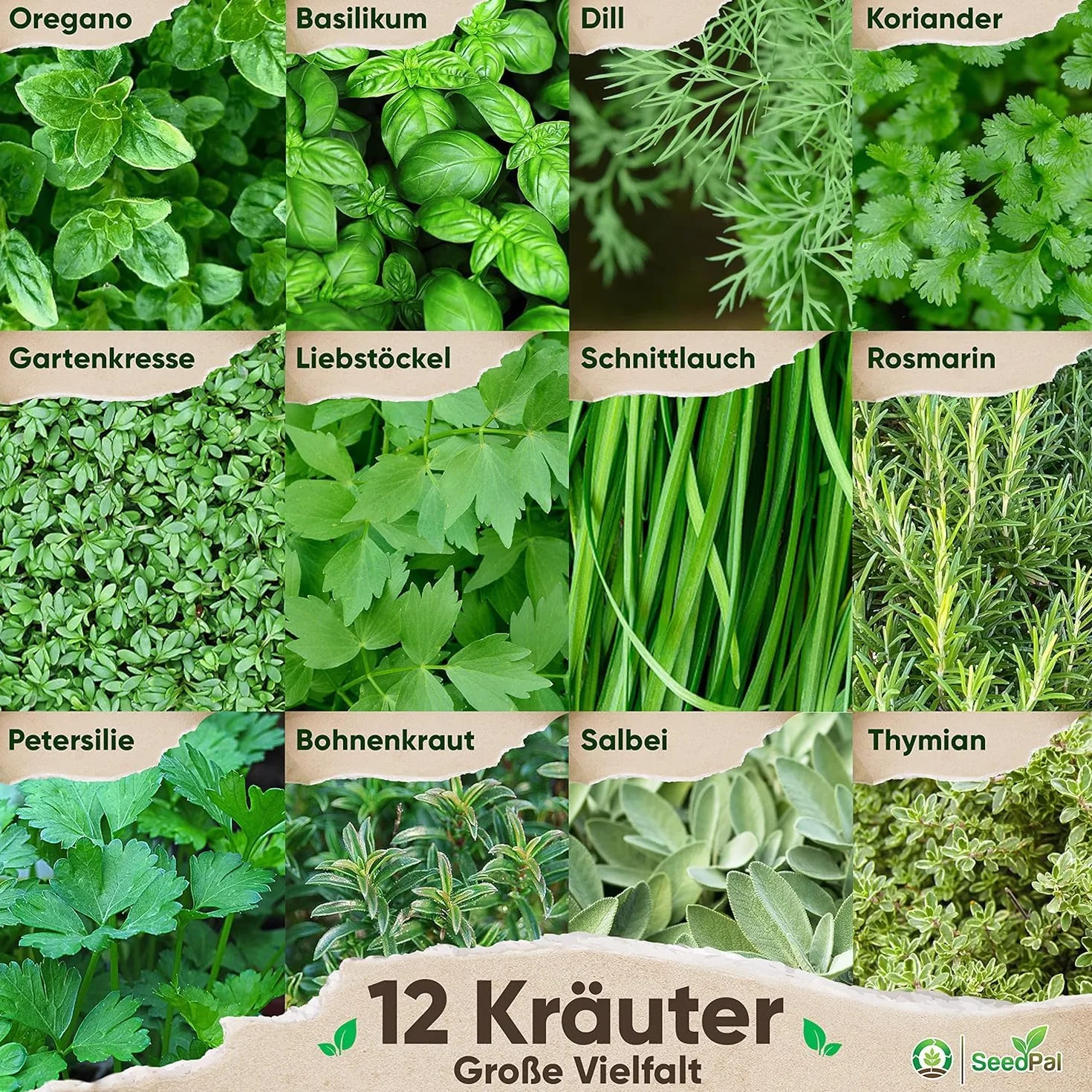 SeedPal Zestaw Nasion - 12 Odmian - Zioła Prowansalskie i Włoskie - Ogród Kuchenny lub Balkon - Nasiona Ogrodowe
