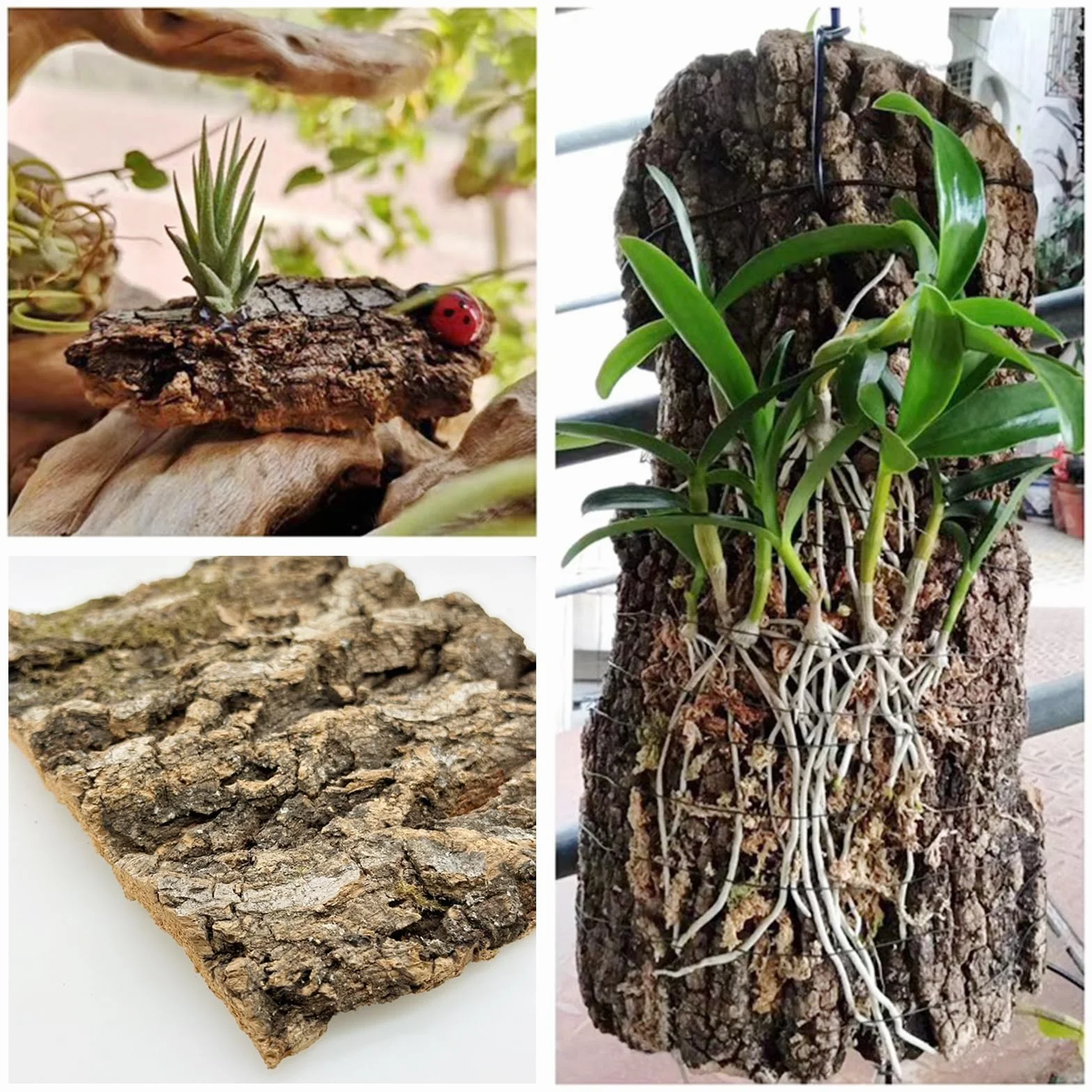 Naturalny kijek z korka, dno z kory terrarium, zabawka dla ptaków żółw jaszczurka (kolor drewno, 20 x 30 cm)