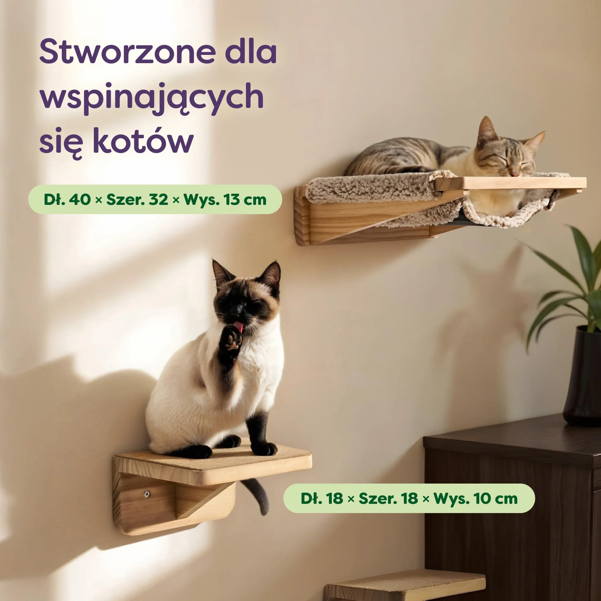 Knupis Zestaw Ściennej Drabinki dla Kota z Hamakiem i Schodkami Lite Drewno Sosnowe FSC Stabilna Półka Ścienna do 30 kg Beżowy