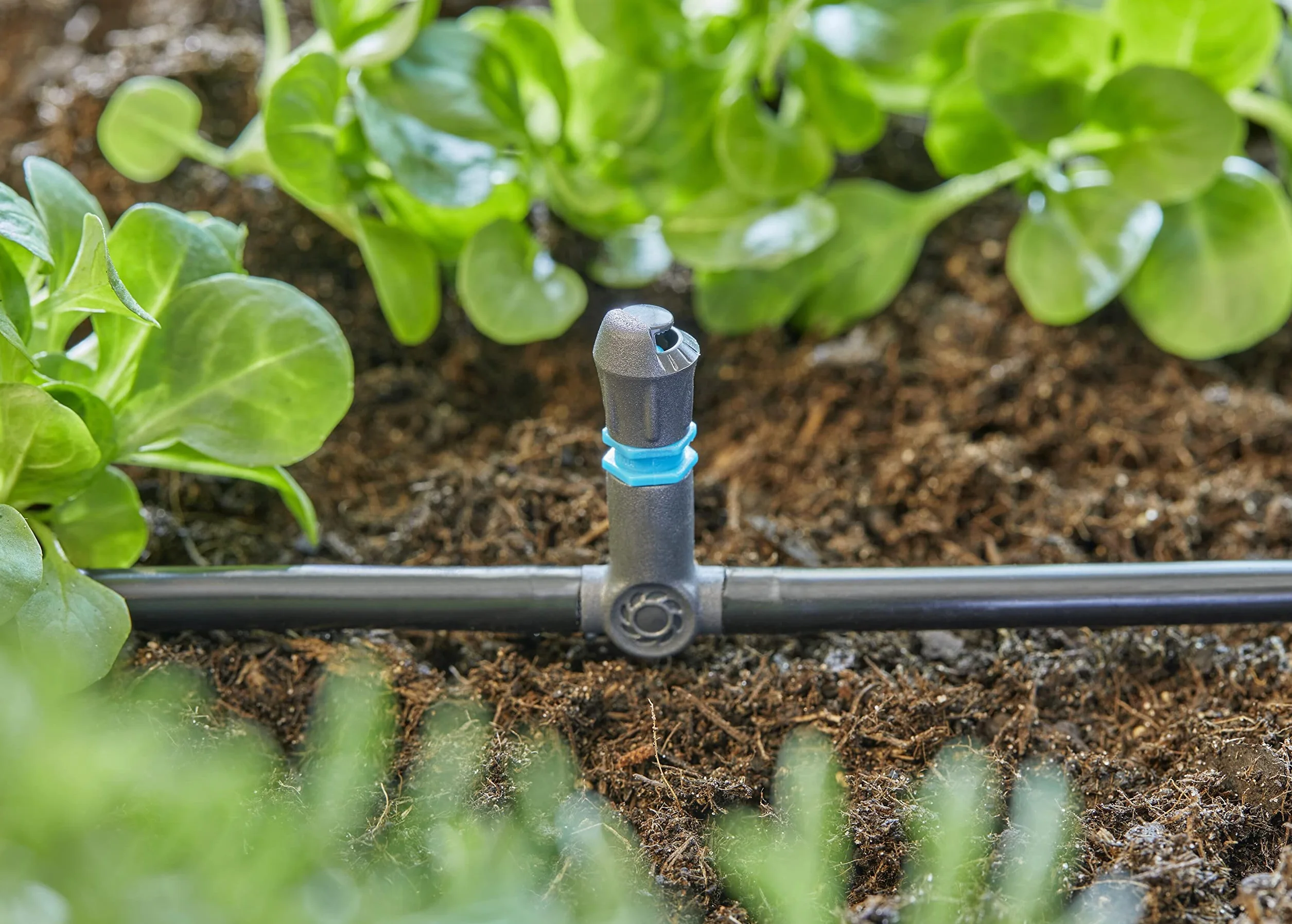 Gardena System Micro-Drip trójnik 4,6 mm (3/16 cala): Praktyczne połączenie do ustalania dysz rozpylających i kroplowników końcowych, 5 szt. (13216-20)