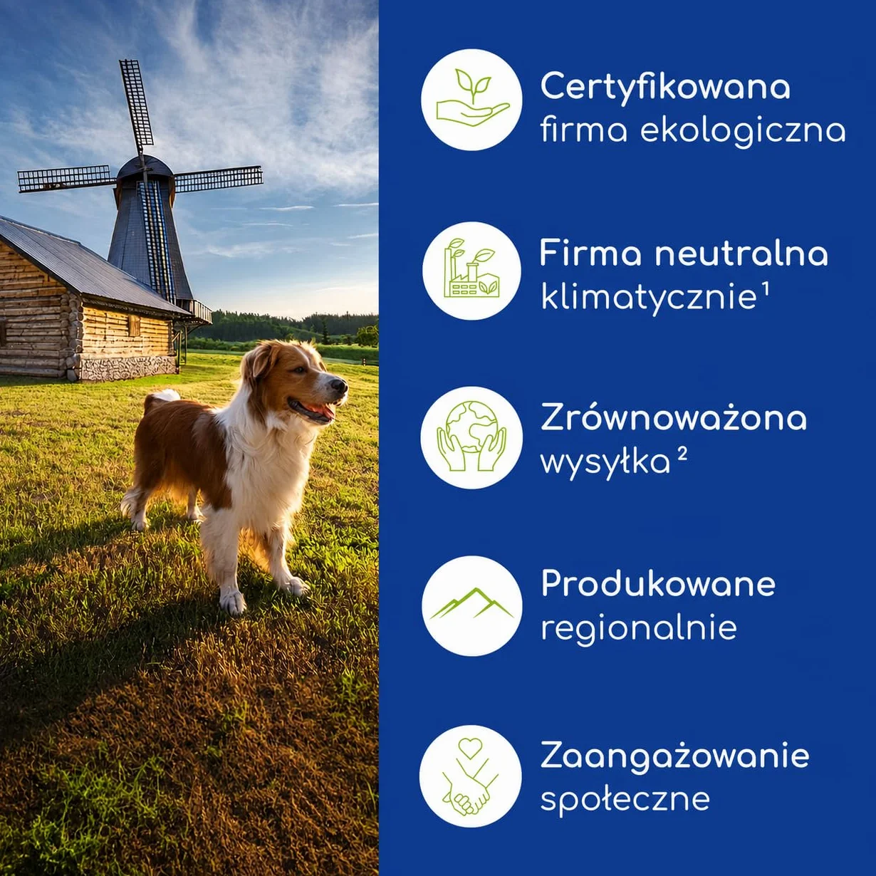 Pasta Żołądkowo-Jelitowa dla Kotów – Z Probiotykami i Korą Wiązu dla Flory Jelitowej – Wspiera Trawienie i Żołądek – Delikatna Przekąska 100g