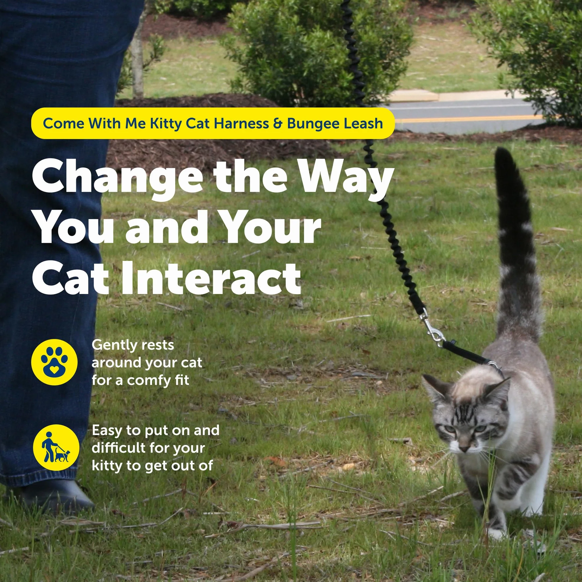 PetSafe Come With Me Kitty uprząż i smycz na bungee, rozmiar M, czarny/srebrny