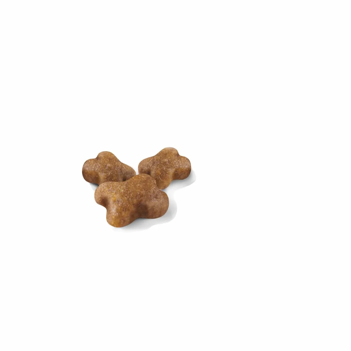 Royal Canin C-58430 Kot - 400 gr