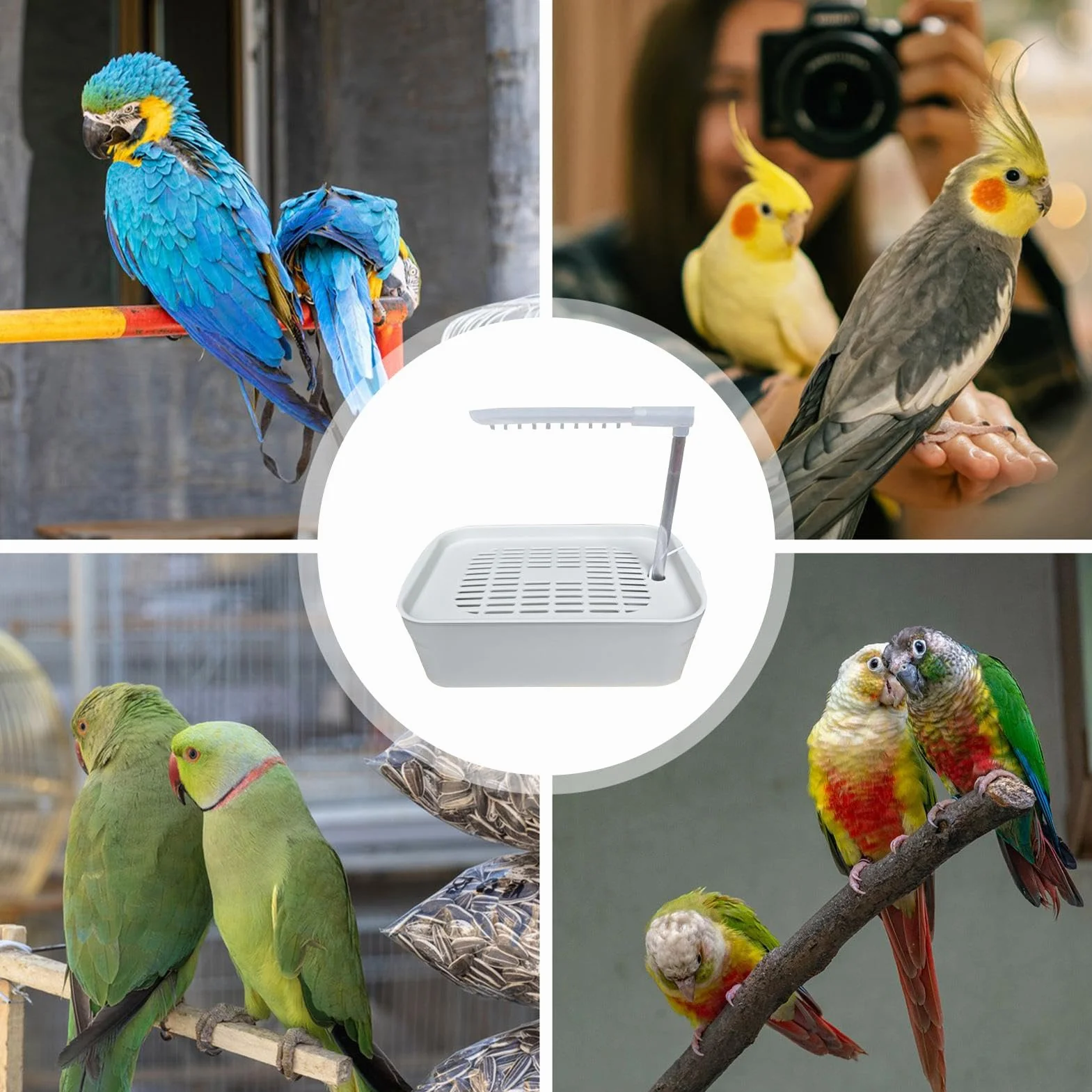Parrot Bathtub, automatyczny shower dla zwierząt domowych, zasilana rurką do kąpieli z wejściem USB, klatka do kąpieli dla małych do średnich ras, łatwe i zabawne rozwiązanie do kąpieli, 12,99 x 8,66