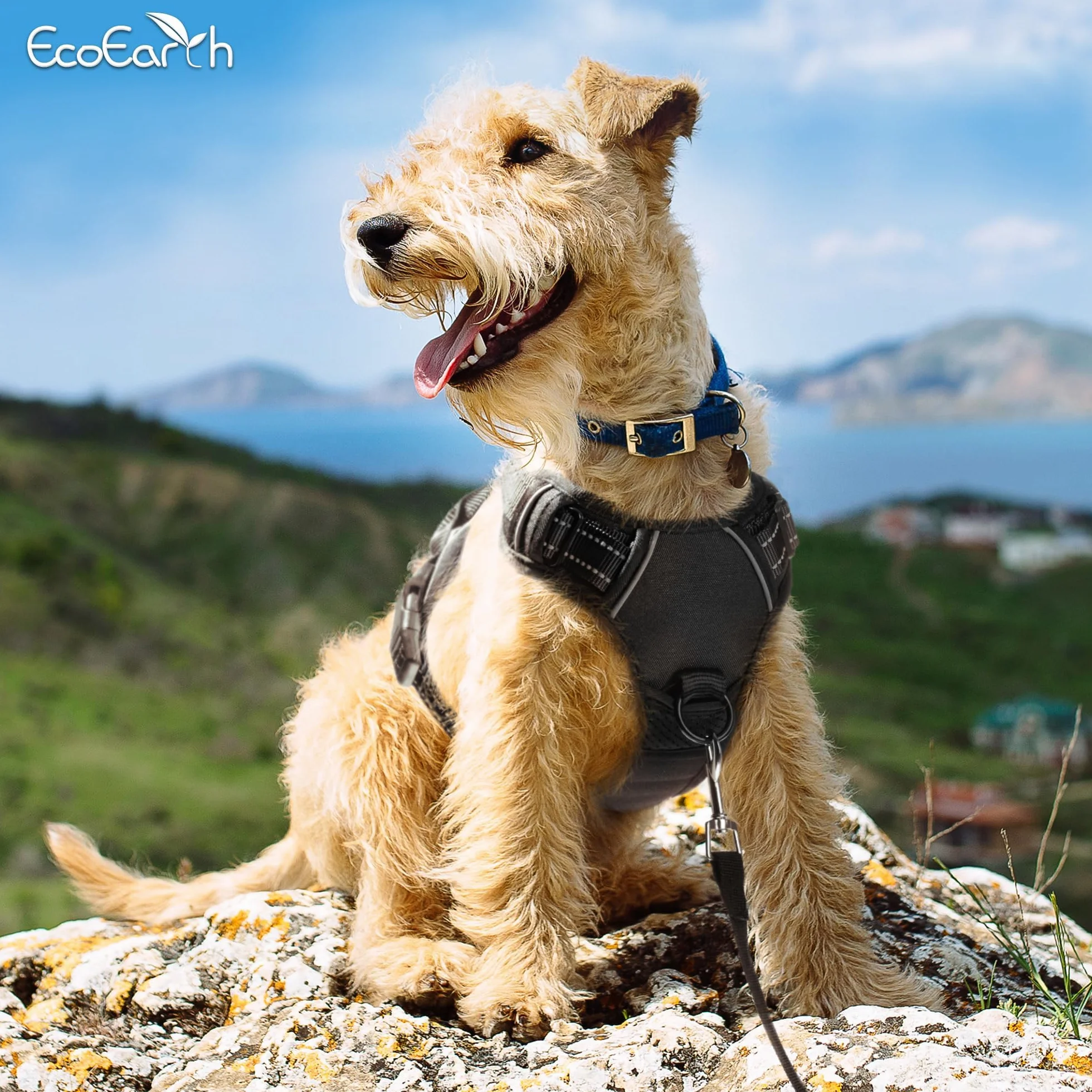 EcoEarth Dog Harness for Medium Dogs Black Soft Padded Adjustable No Pull Pet Harness