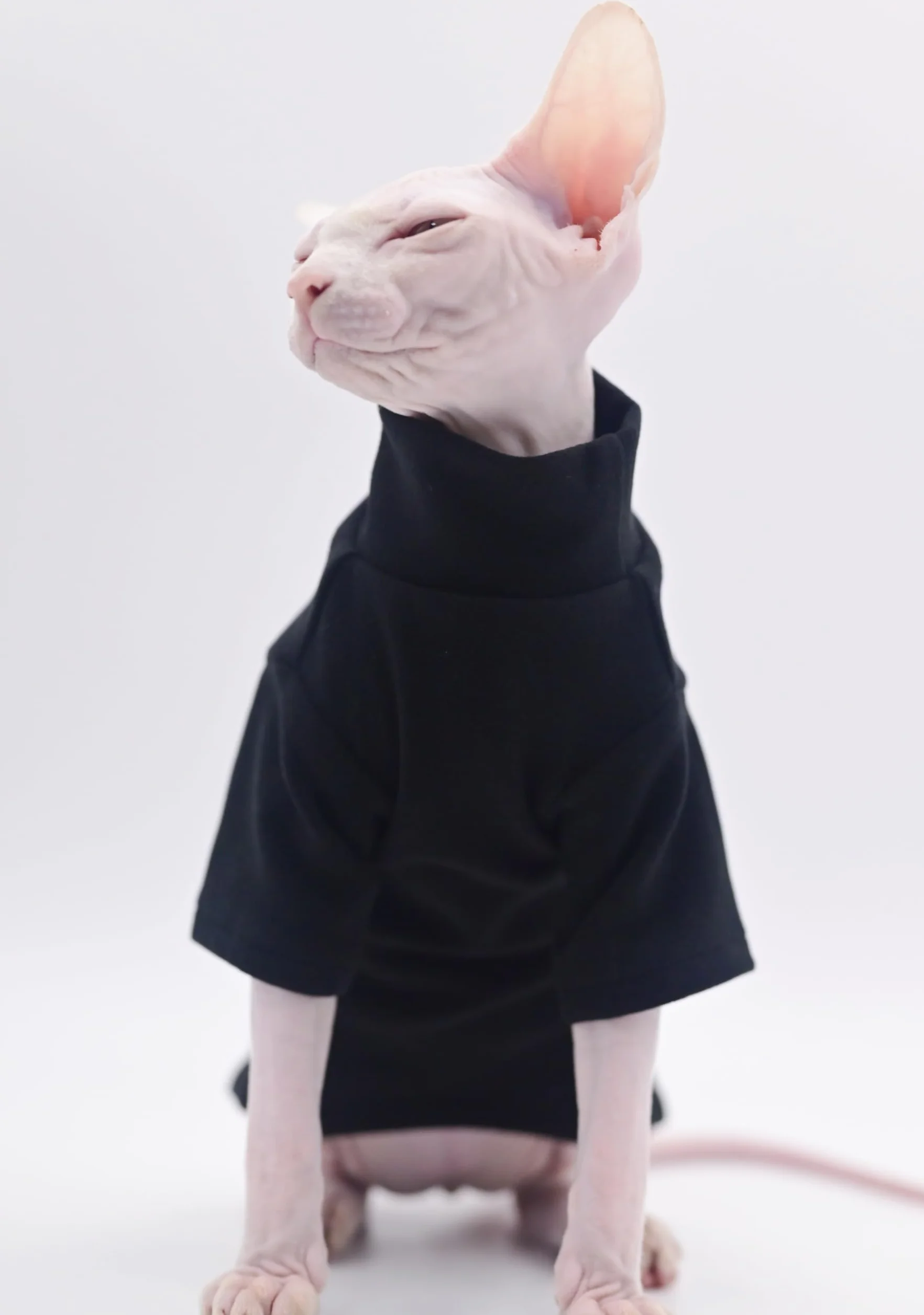 Sphynx Ubrania dla kotów, samonagrzewające się, ciepła bielizna termiczna, bezwłose, ubrania dla kota Sfinksa, Devon, Cornish ubrania dla kotów i małych kotów i psów (czarne), rozmiar L