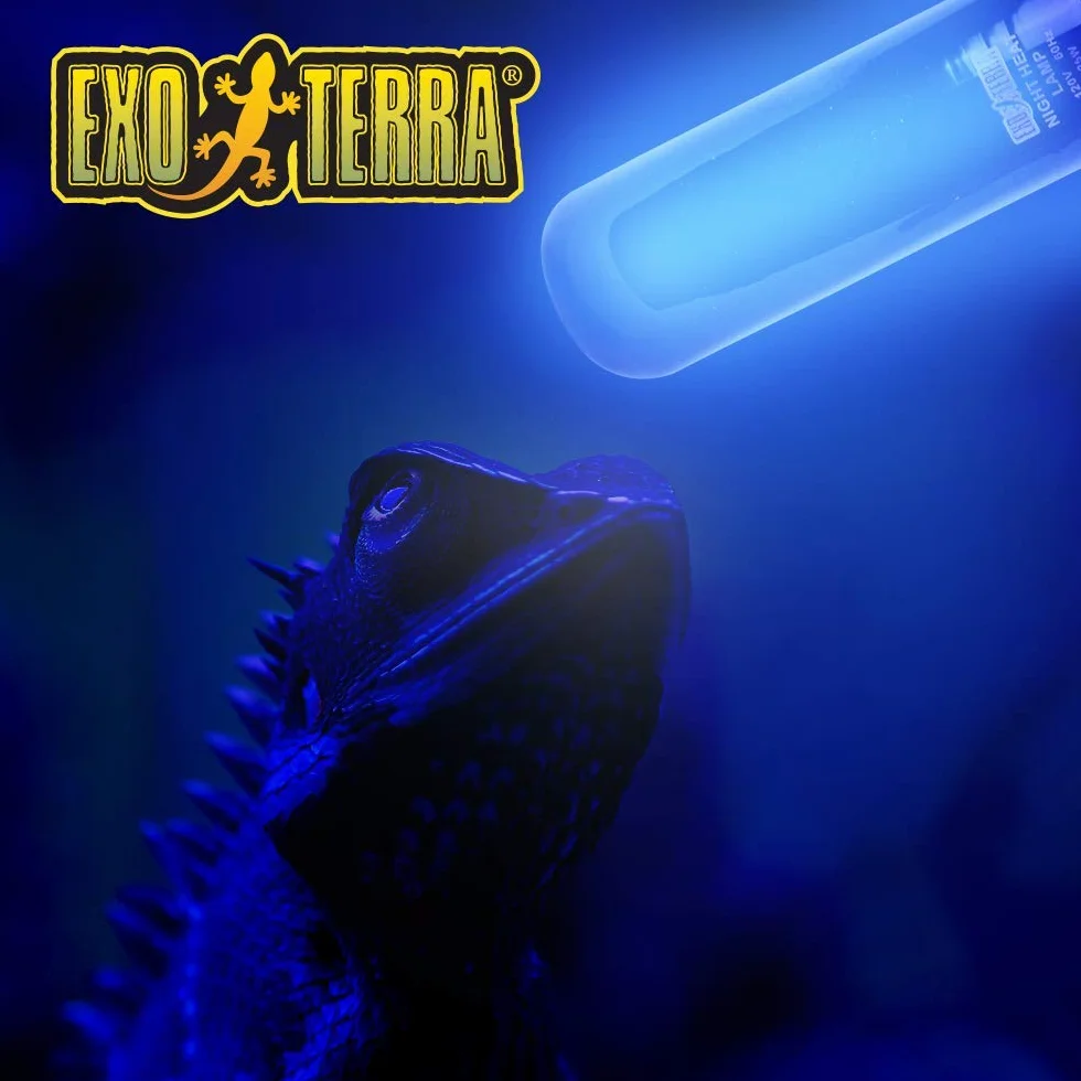Exo Terra Nocna lampa grzewcza 25 W