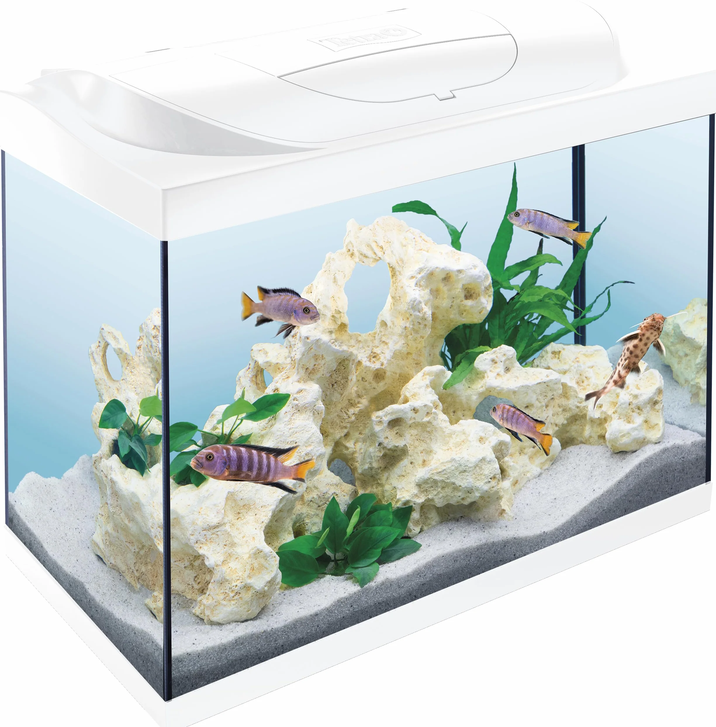 Tetra Starter Line 80 l akwarium białe, kompletny zestaw – wraz z oświetleniem LED, filtrem wewnętrznym, podgrzewaczem, karmą dla ryb i uzdatniaczem wody