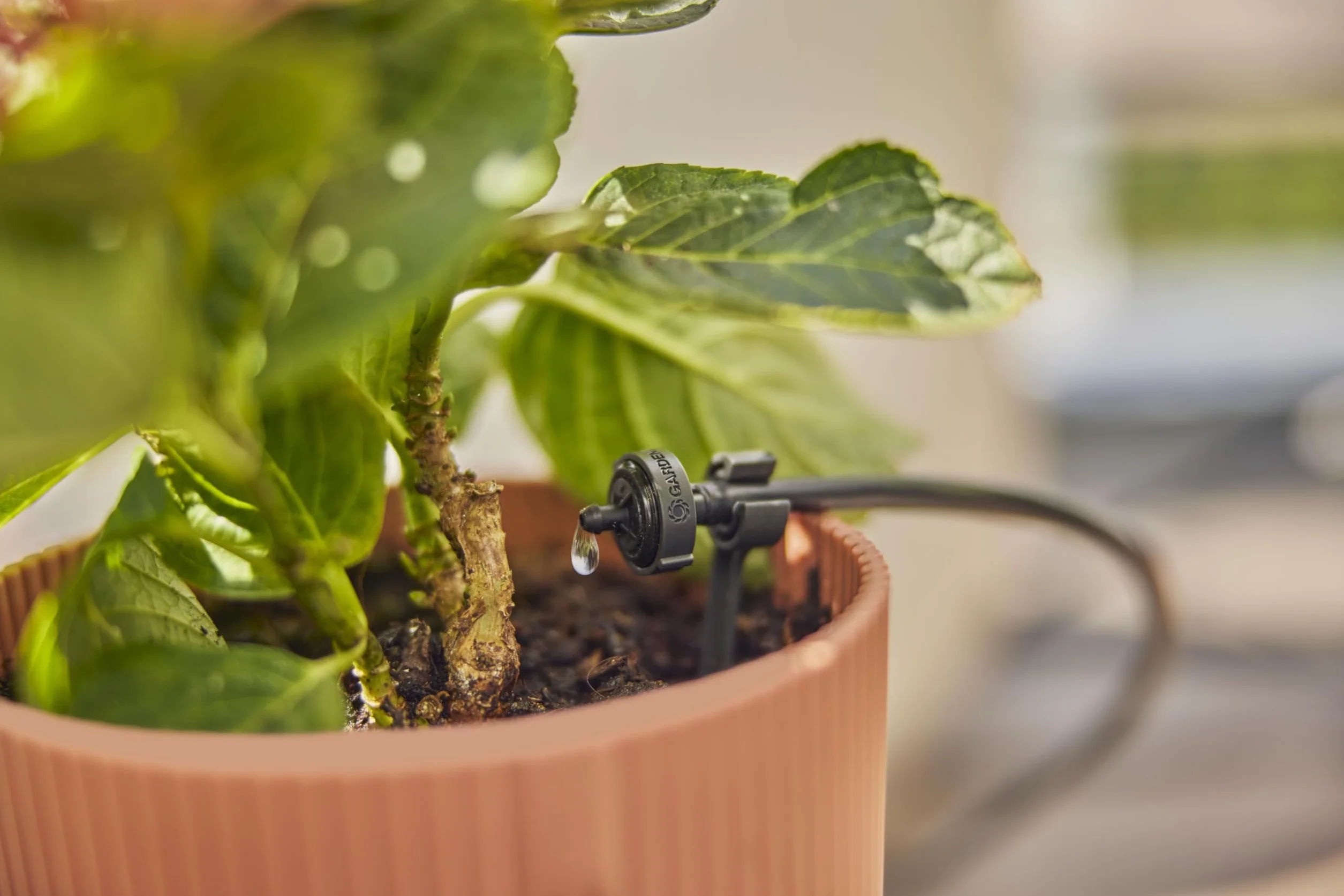 Gardena system Micro-Drip nawadnianie kropelkowe, zestaw balkonowy (15 roślin): Zest. startowy gotowy do zast., wodooszczędny sys. nawadniania, prosta i elastyczna tech. połączeniowa (13401-20)