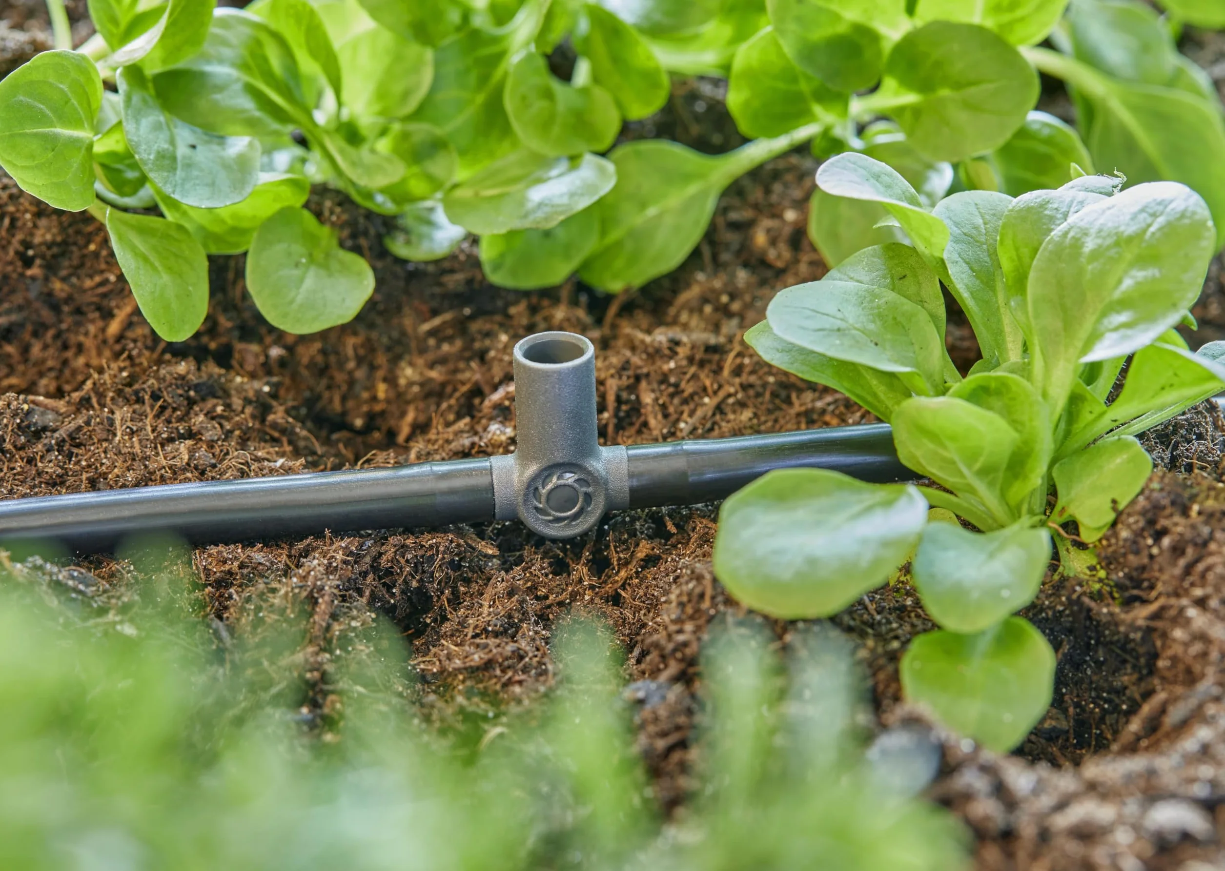 Gardena System Micro-Drip trójnik 4,6 mm (3/16 cala): Praktyczne połączenie do ustalania dysz rozpylających i kroplowników końcowych, 5 szt. (13216-20)
