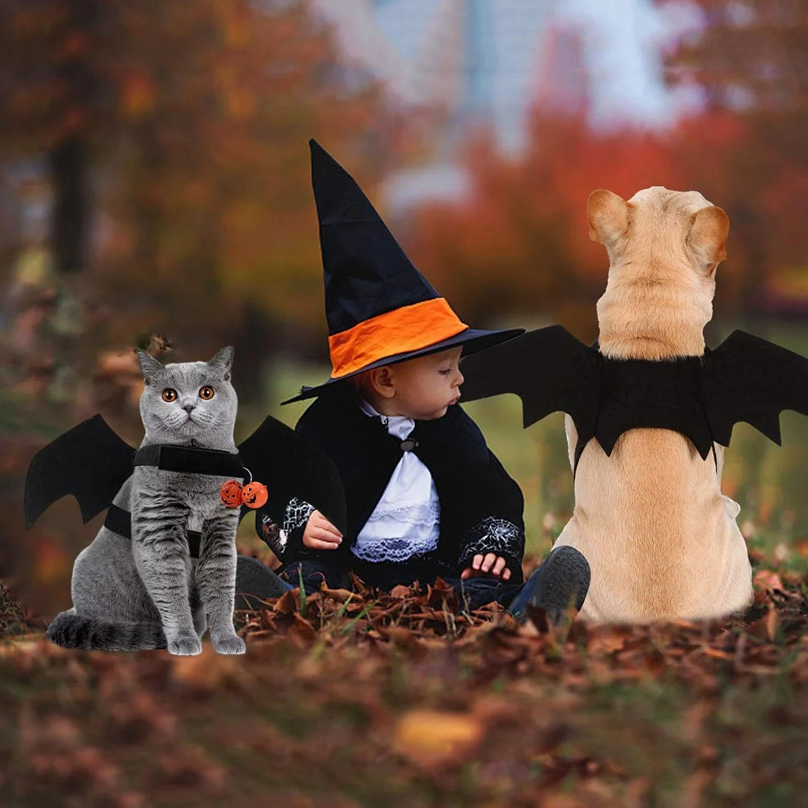 Kostium dla psa nietoperza Halloween, czarne filcowe skrzydła, regulowane z dzwonkiem dyniowym