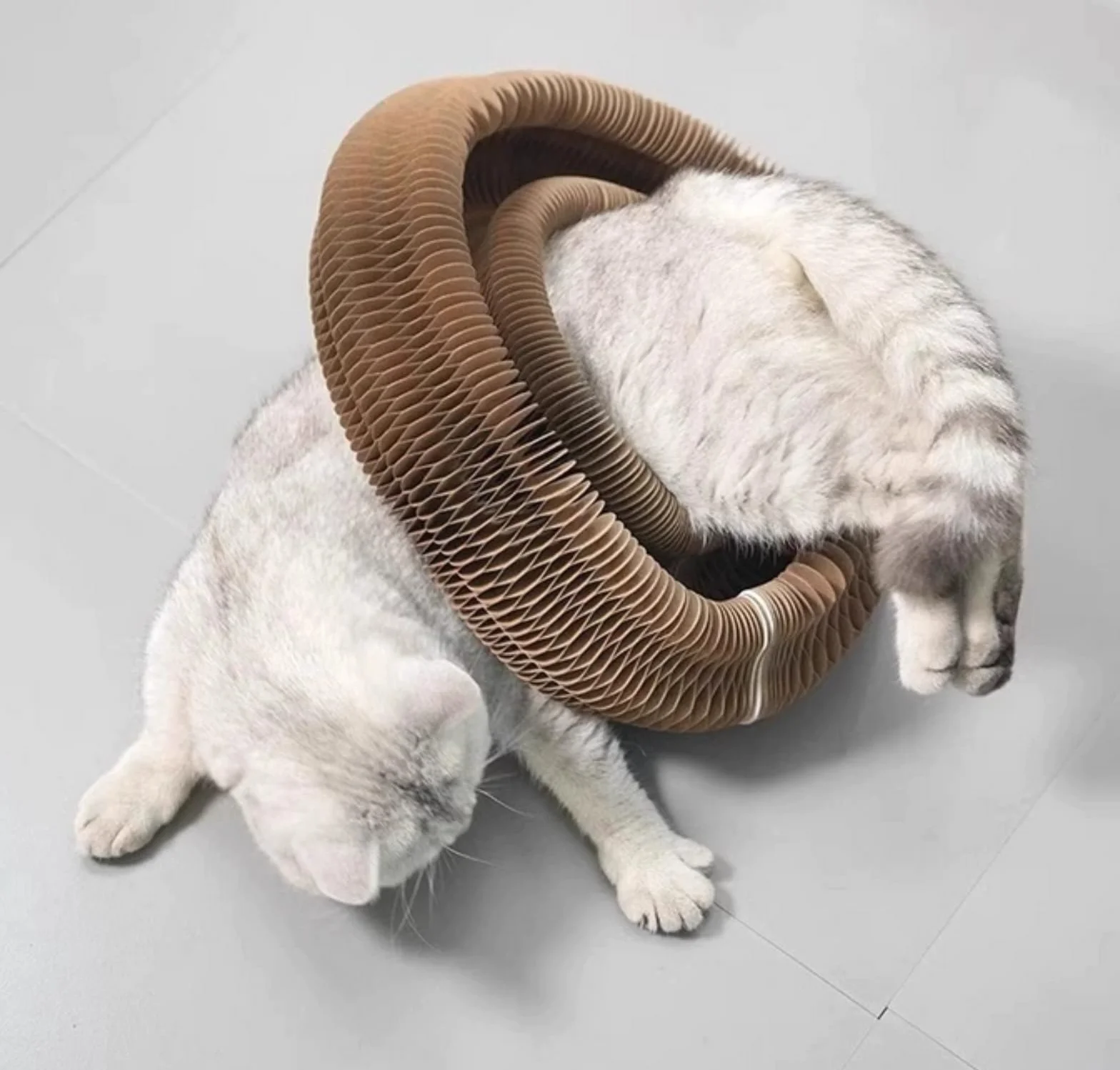 Kitty Kurlz Foldable Cat Accordion Toy Scratching Board with Bell Balls and Track Adventure