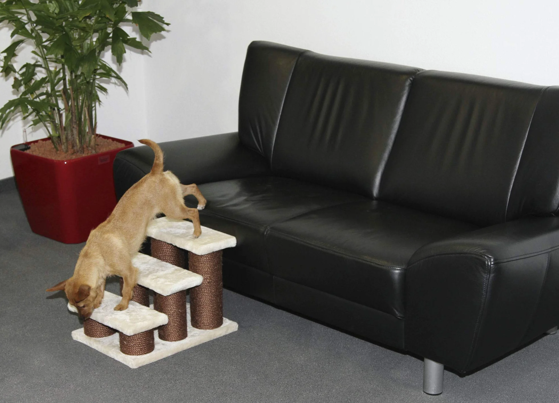 Kerbl Stopnie Biały Brązowy XL 35 cm 45 cm