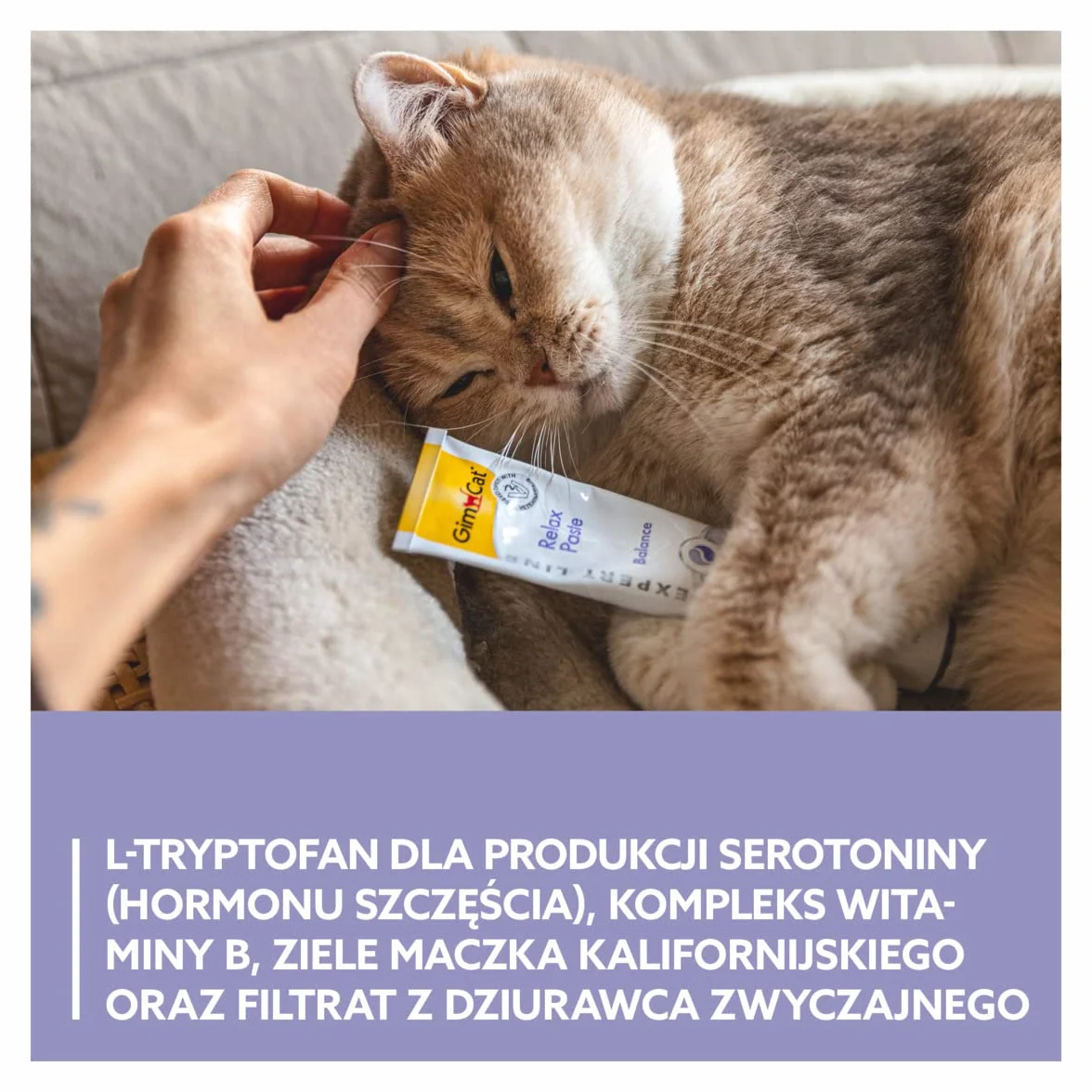 GimCat EXPERT LINE Relax pasta - Funkcjonalny przysmak dla kotów, który zapewnia im komfort i zwiększa dobrostan - 1 tubka (1 x 50 g)