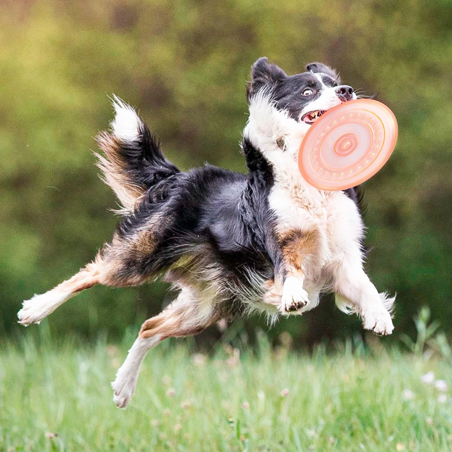 2 sztuki krążków dla psów, 18,5 cm, fryzura, z naturalnego kauczuku, frisbee dla psów na ląd i wodę, krążki do treningu psów, łapania, zabawy (niebieskie + pomarańczowe)