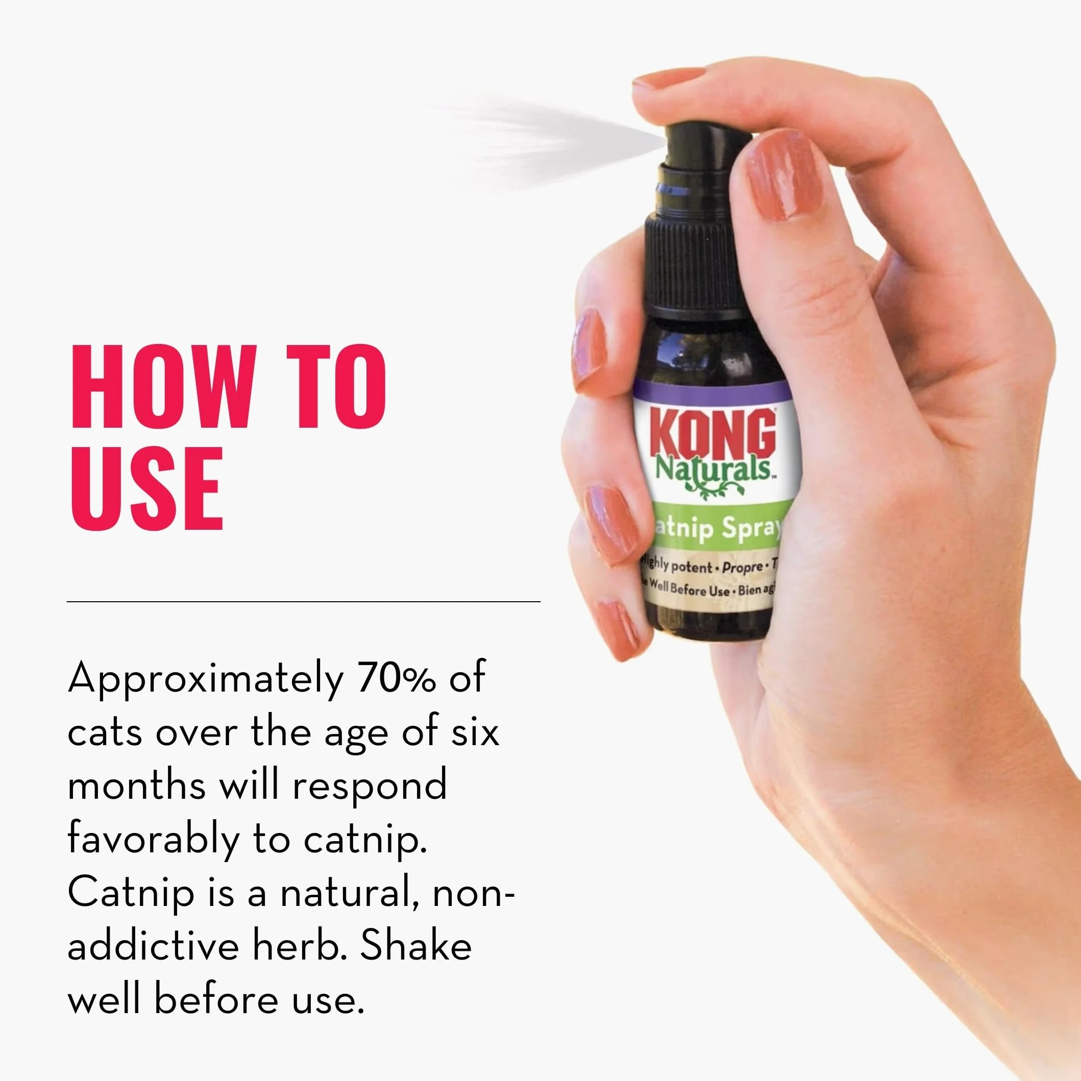 KONG – Naturals Catnip spray dla kotów – 30 ml (1 Fluid Ounce)