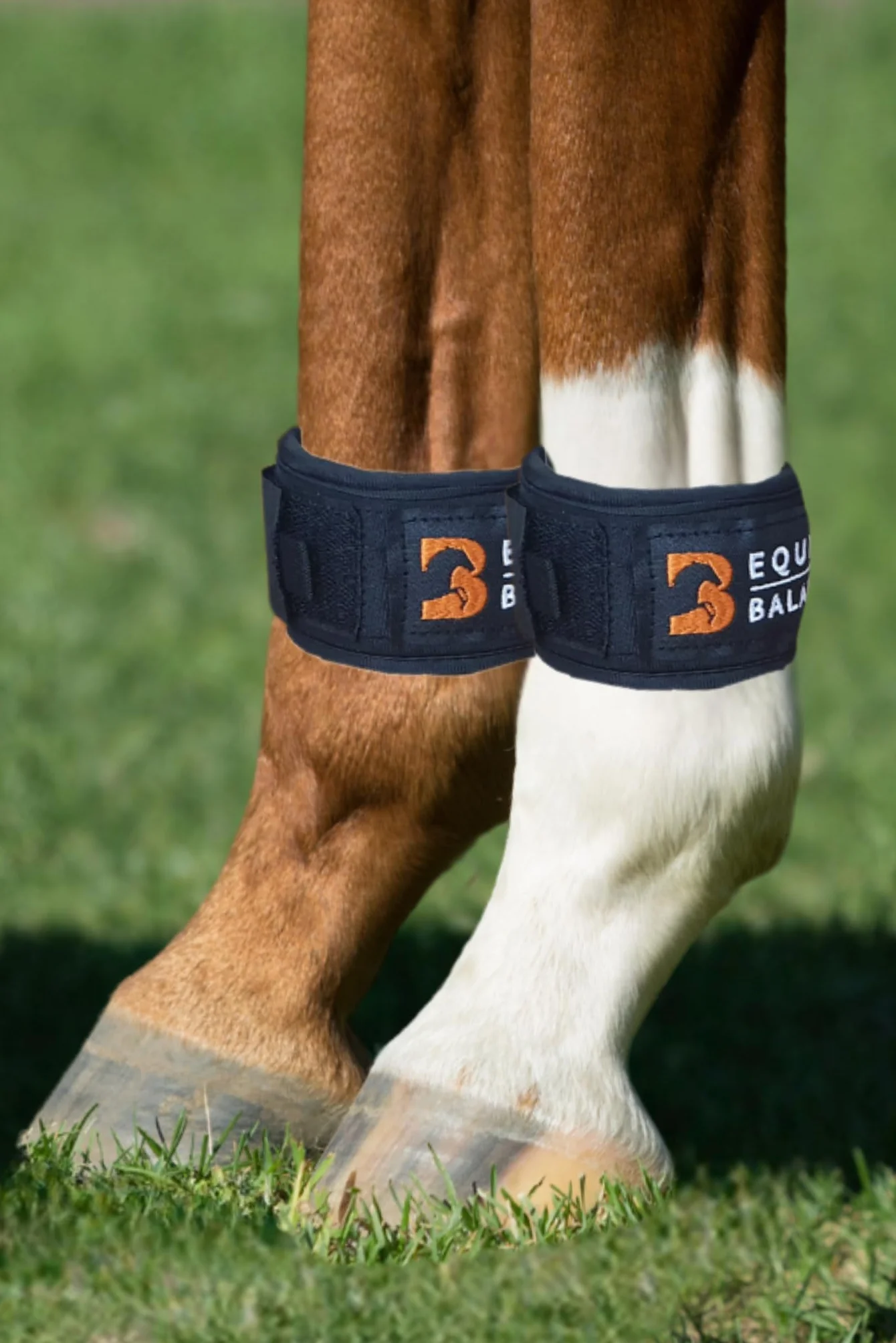 Magnetyczne opaski na nogi dla koni. Terapia magnetyczna Equine Balance Pastern Wraps dla koni i kucyków. Magnesy neodymowe do kopyt, fetlocka, kolan i stawu skokowego (szerokie)