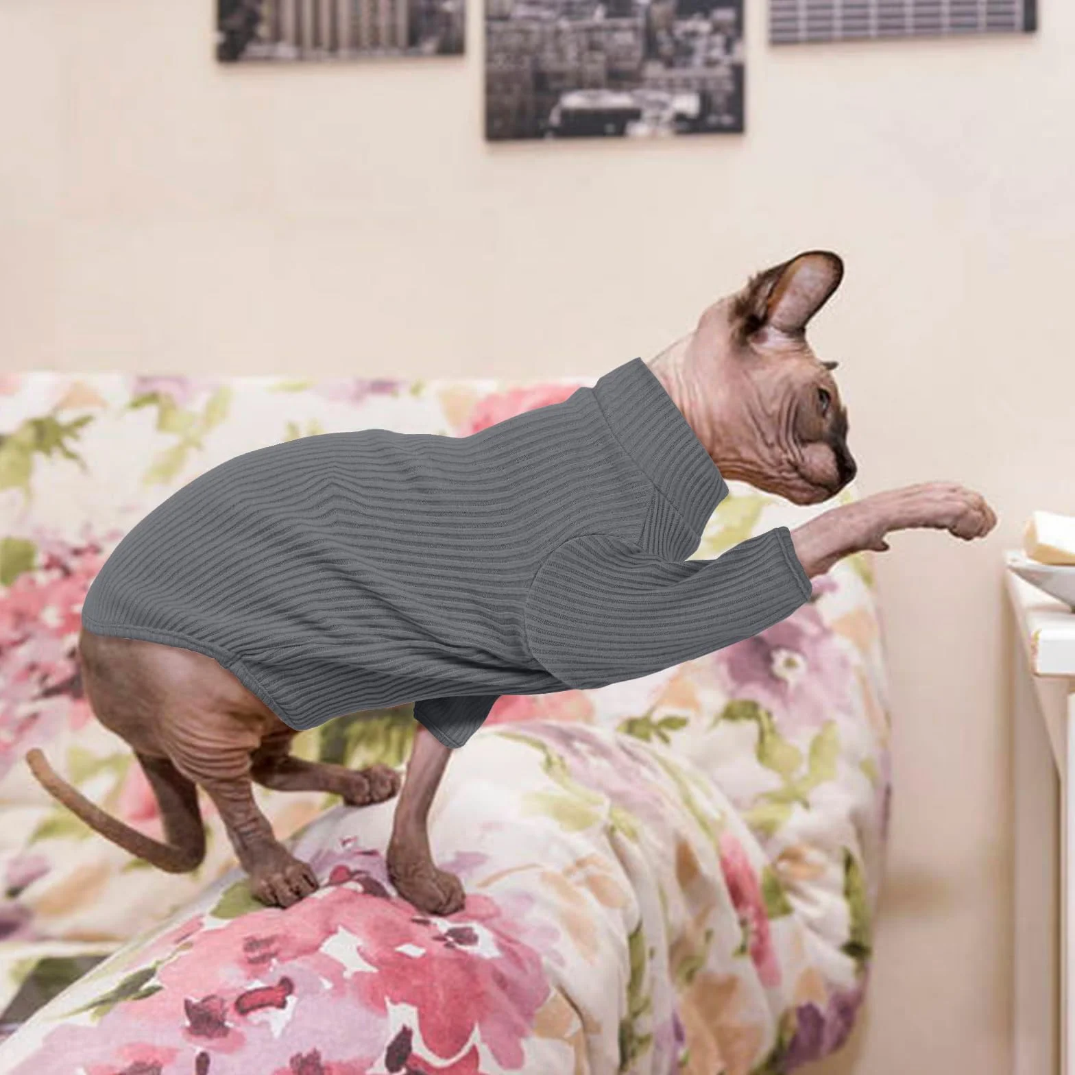 Gołębiarka bez sierści dla kotów Rollkragenpullover, oddychająca, urocza odzież dla kotów, swetrzyk Kątowniki z rękawami, piżama dla kotów Jumpsuit dla Sphynx, Cornish Rex, Devon Rex, Peterbalg