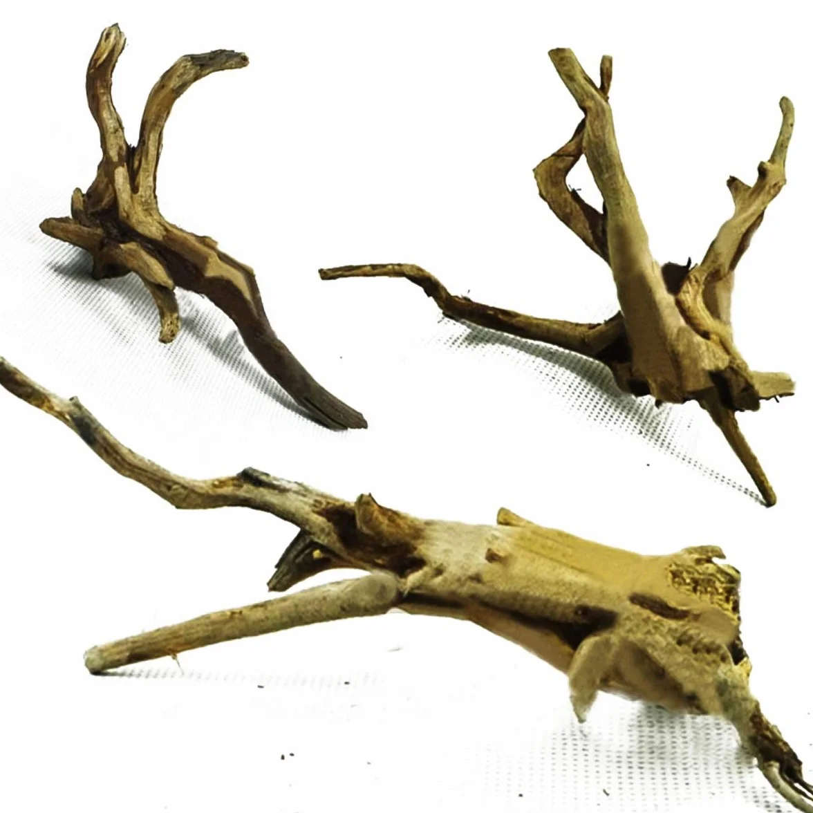 Esenlong Naturalne drewno dryfujące gałązki winorośli gady dekoracja akwarium, losowy kształt 10-15 cm