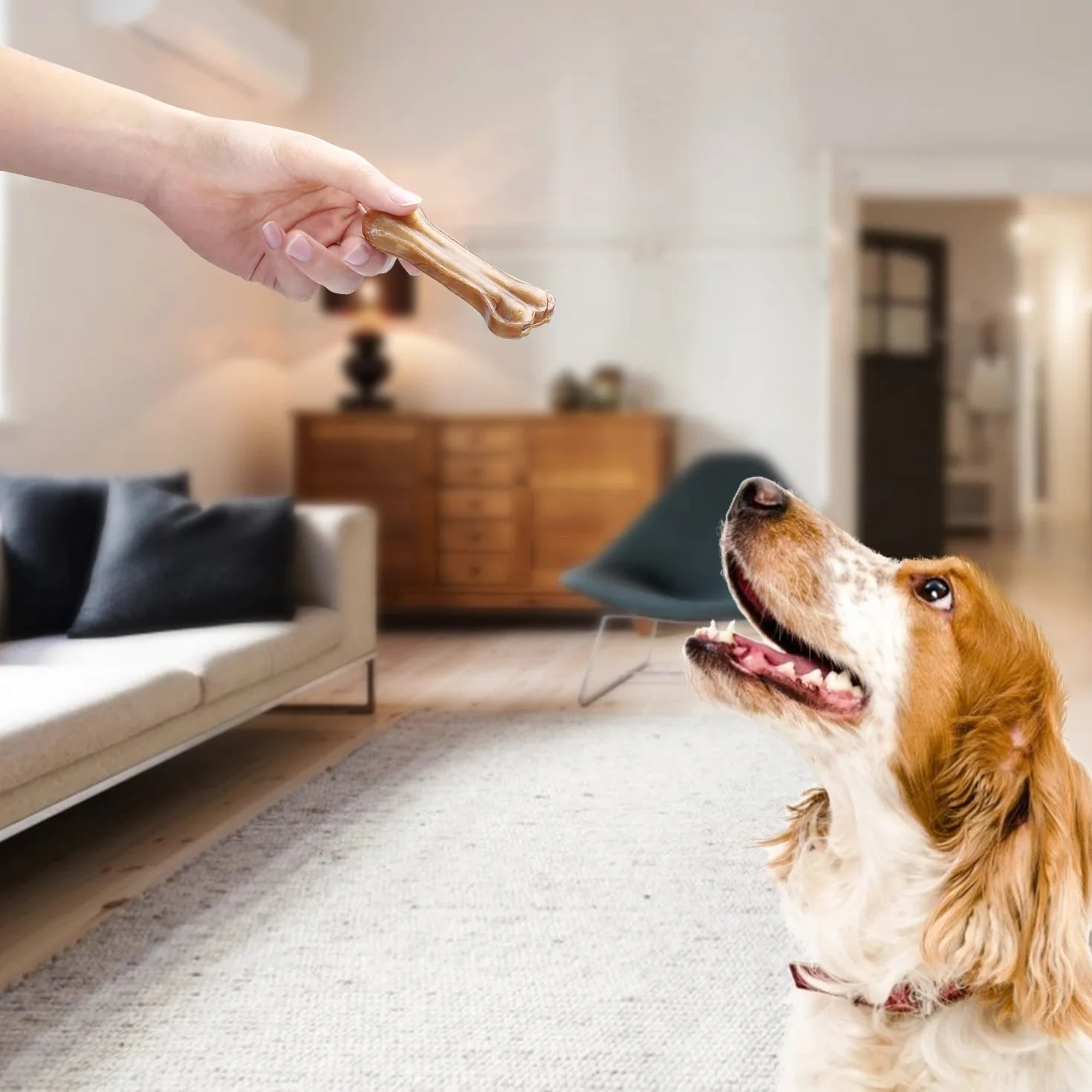 Nobleza - Kości do żucia dla psów 10 cm x 12 sztuk, 100% naturalne kości ze skóry wołowej i kości dla psów małych psów, kości dla psów o wysokiej zawartości białka