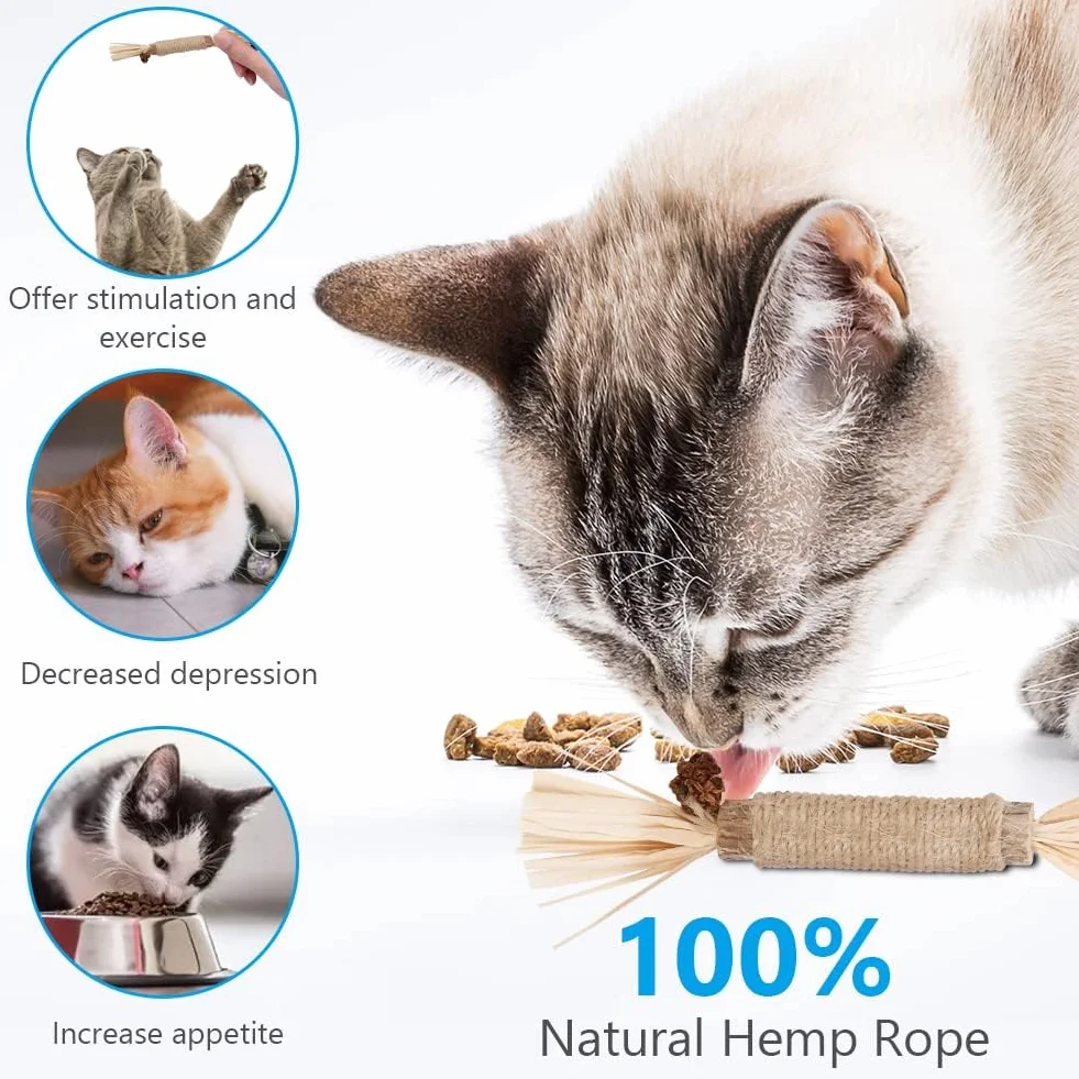Zabawki z Kocimiętką 6 Zabawek dla Kotów i Myszy 2 Pałeczki do Żucia Naturalne Patyczki Matatabi Czyszczenie Zębów Kota