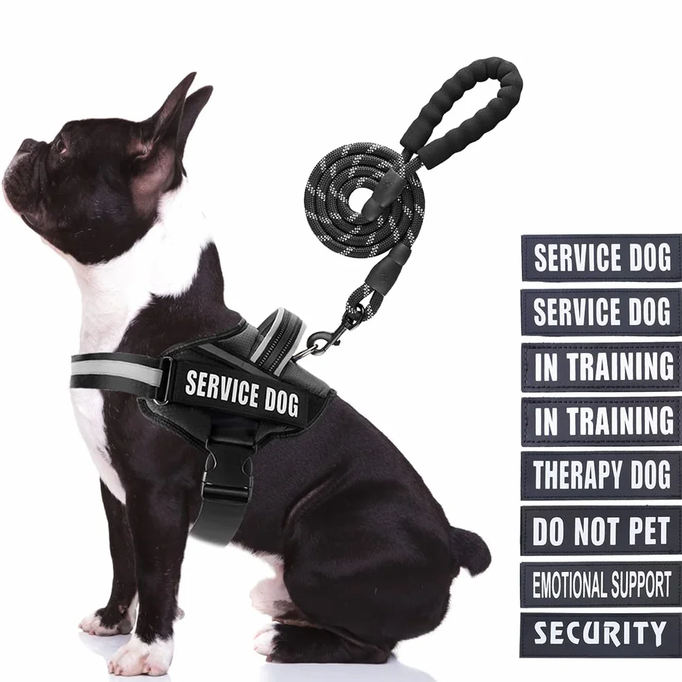 Animire Service Dog Vest Harness and Leash Set with 10 Patches, Reflective Leash Padded Handle for Dogs (Black, M)