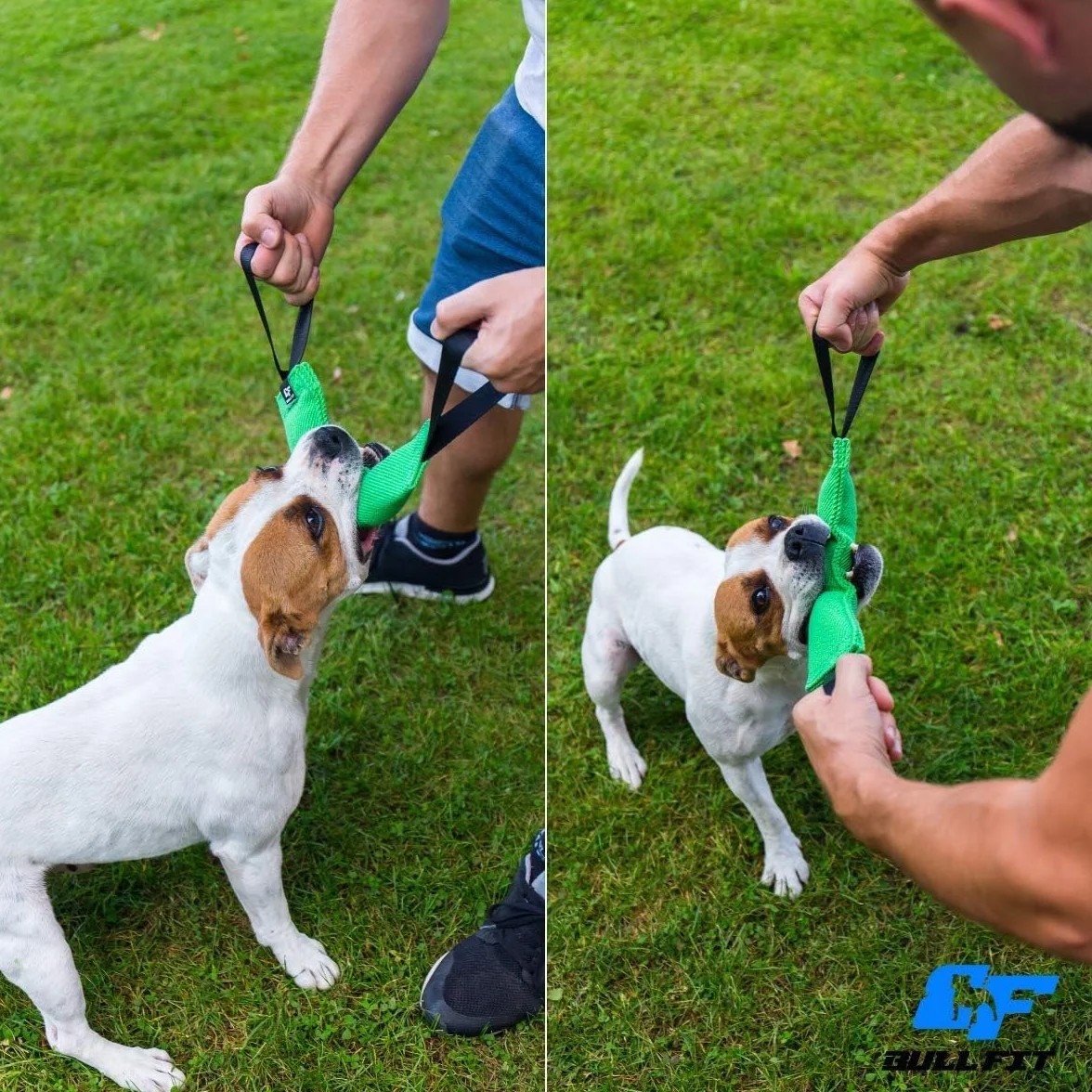 Bull Fit Szarpak dla psa 30 cm, z dwiema rączkami - Bardzo wytrzymała zabawka dla psów do treningu obronnego i kynologii sportowej - Mocny Szarpak z materiał ringowy, Aport Dummy czarny