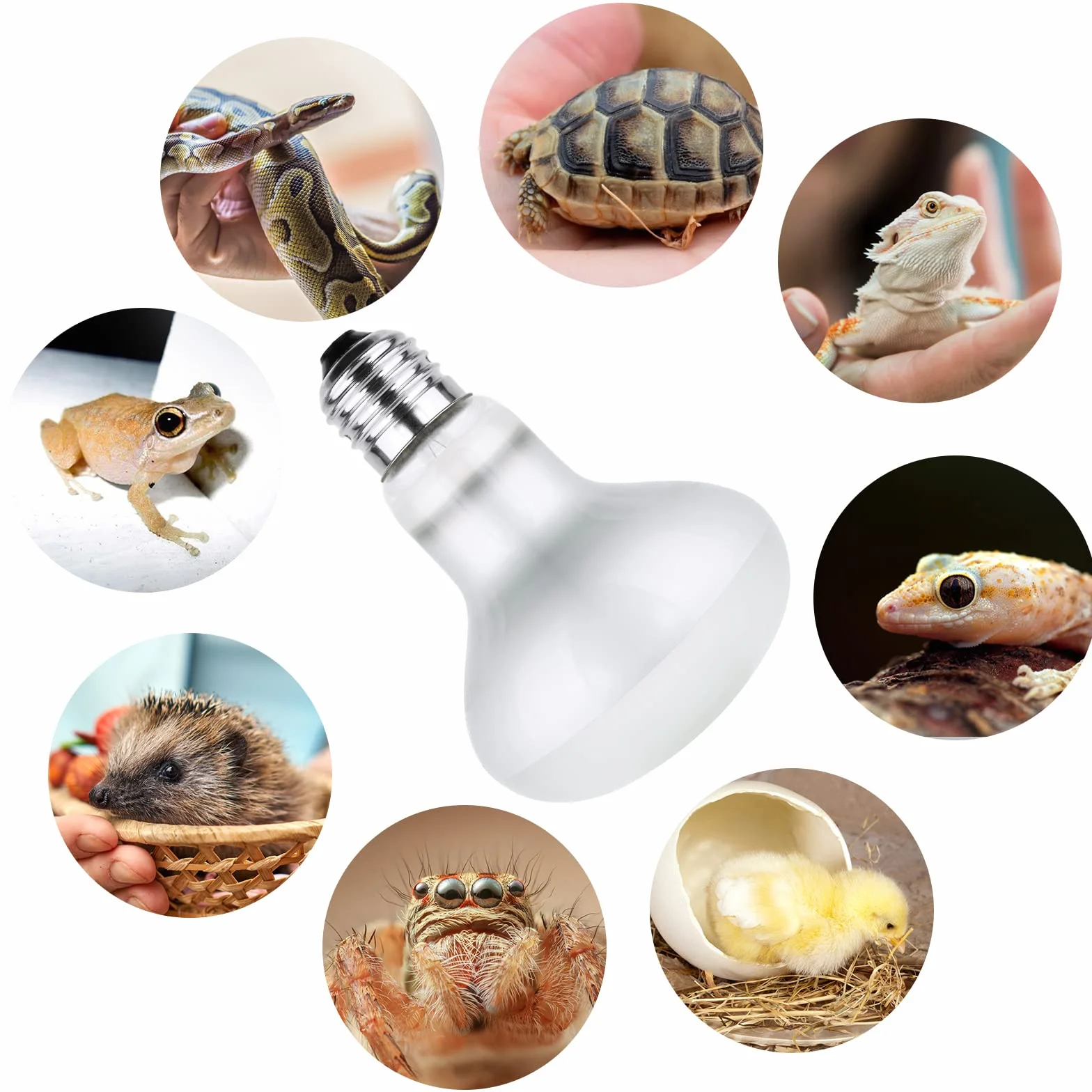 Lampa Grzewcza Gadów 50W E27 2 Sztuki