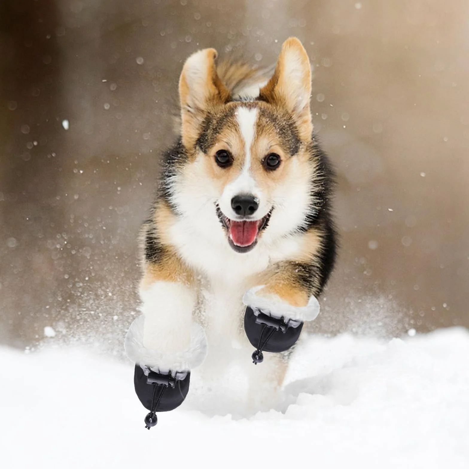 Paw Protector wodoodporne buty dla psa antypoślizgowe odblaskowe 4 szt.