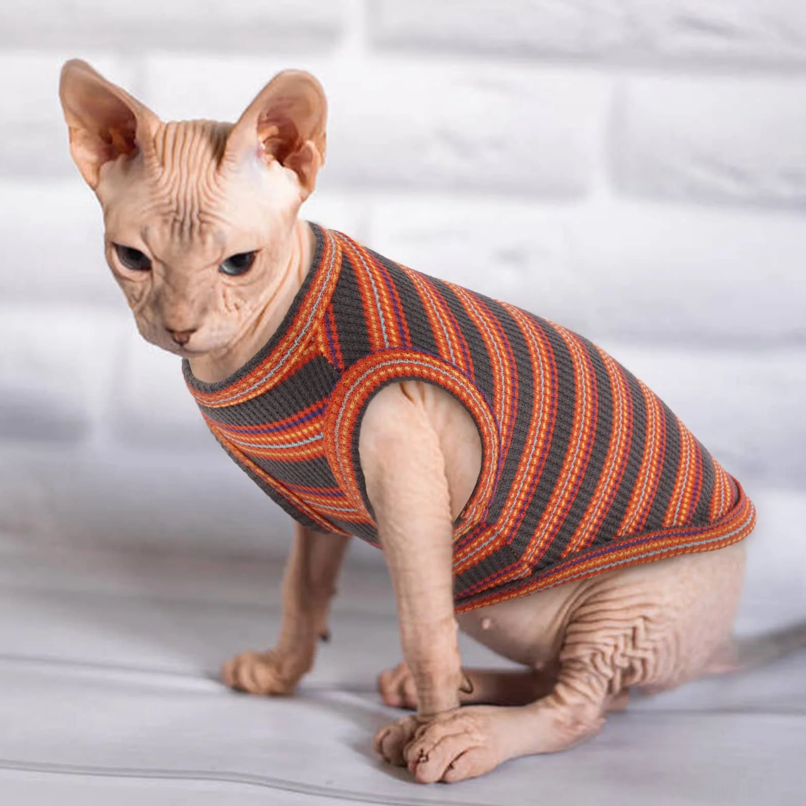 Oddychająca koszulka bez rękawów dla kota Sfinks, Cornish Rex, Devon Rex - letnia odzież w paski