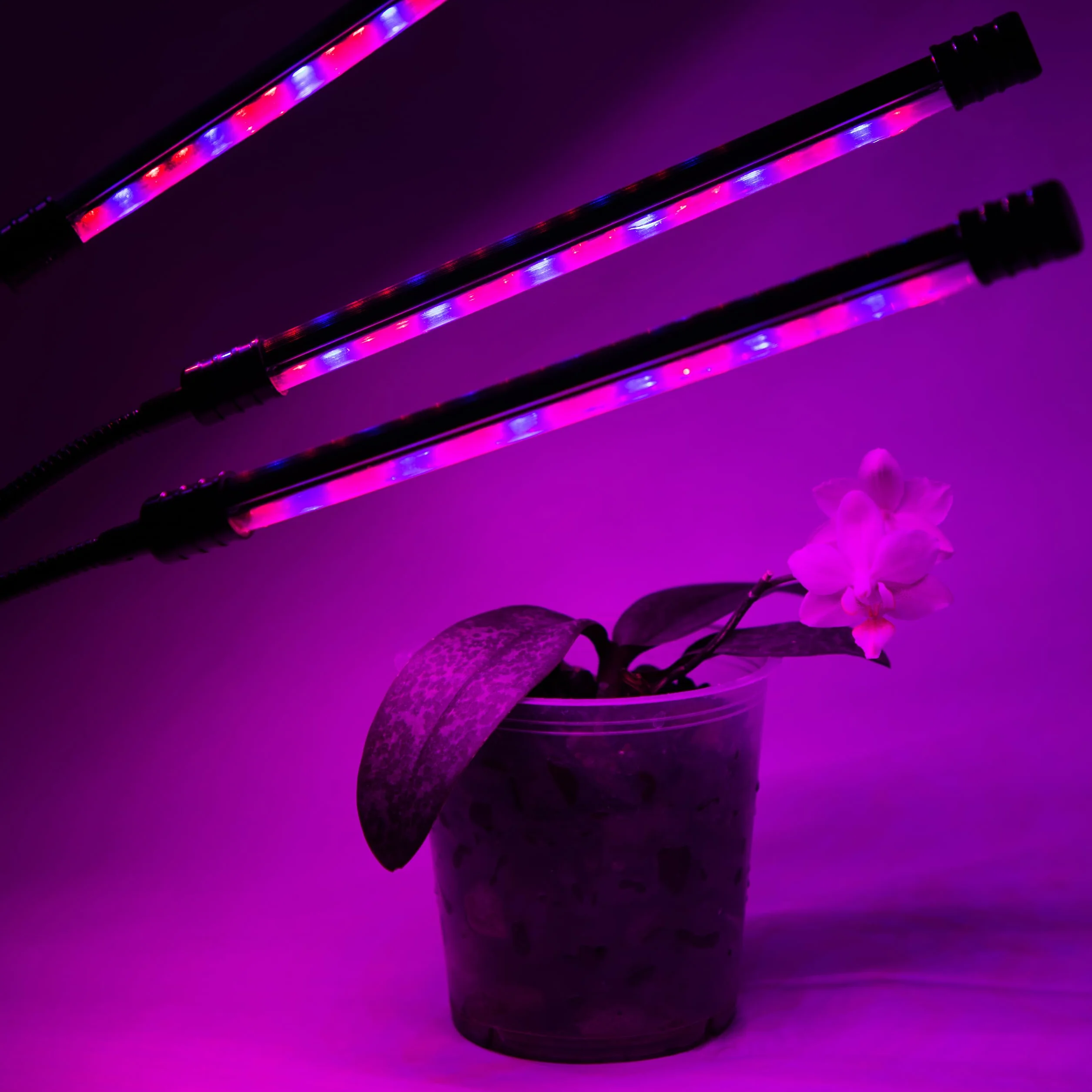 Retoo Lampa LED z pełnym spektrum światła, lampa biurkowa do szklarni i roślin pokojowych, 60 diod LED, pilot zdalnego sterowania, sterowanie wierszem, światło do wzrostu z timerem