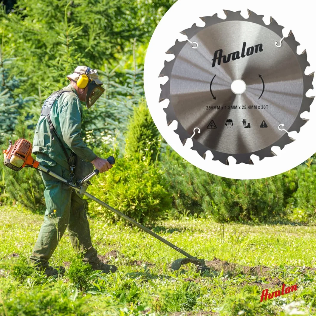 Avalon - Tarcza 20 zębów Przeciwboju do wykaszarki, specjalne ostrze do drzewiastych łodyg 255 x 1,6 mm, długość zęba widia 6 mm