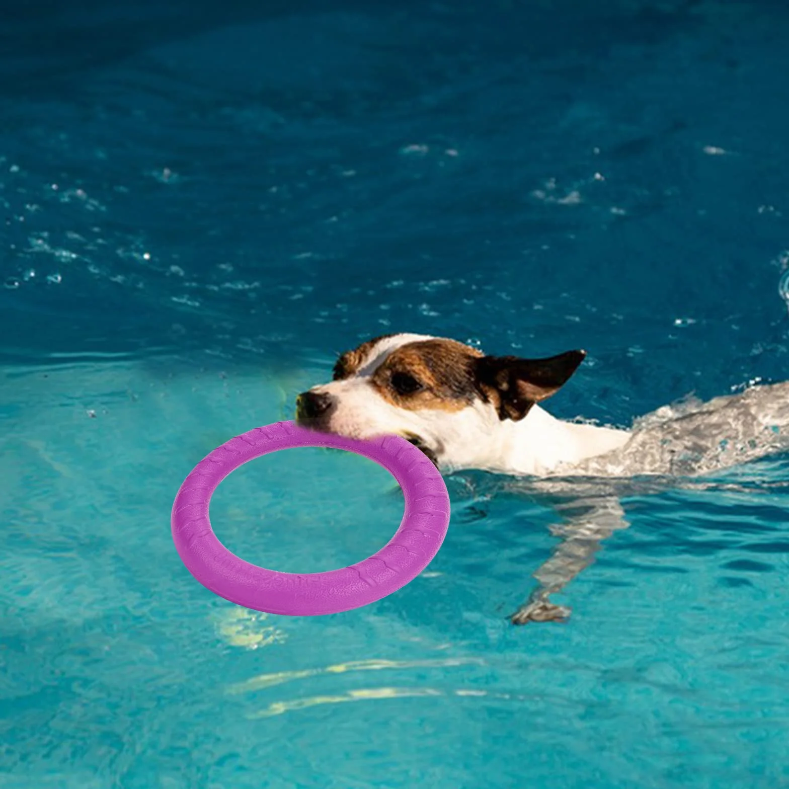 Plastikowy Pierścień Fitness dla Psa Frisbee - Pływająca Zabawka w Kształcie Pierścienia dla Małych i Średnich Psów