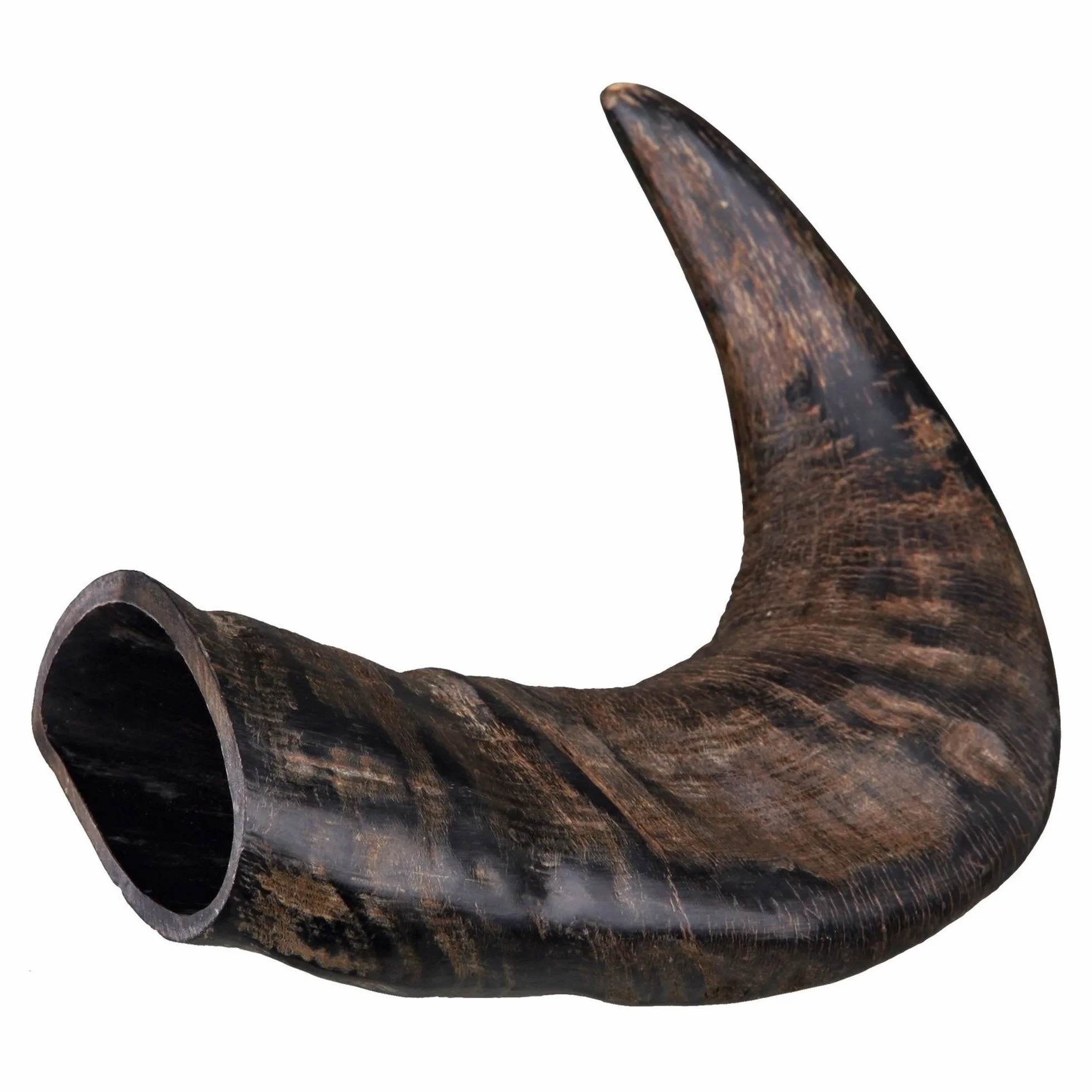 TX-27743 Buffalo Chewing Horn Large