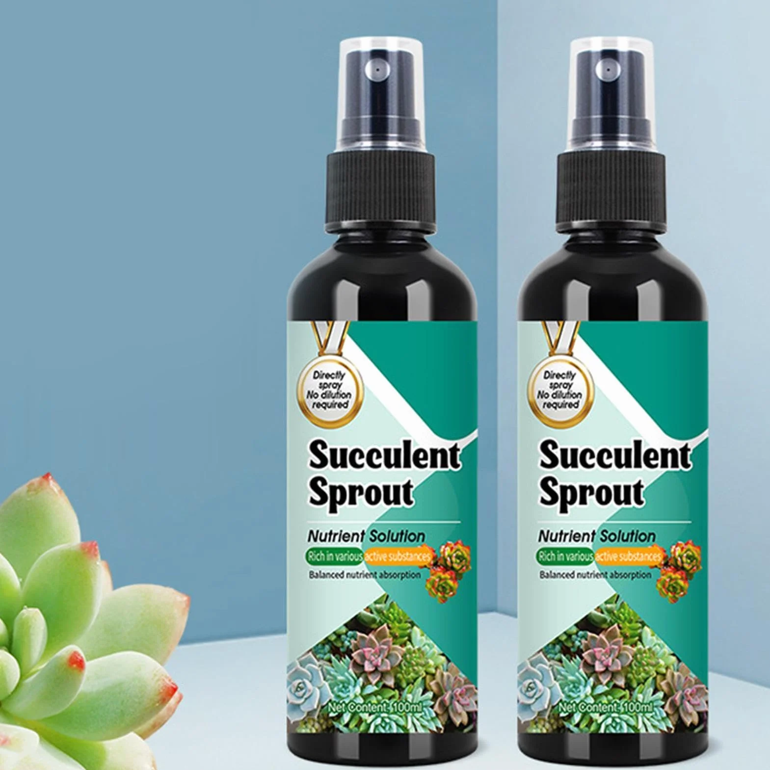 Nawóz Do Kaktusów | Stymulator Wzrostu Sadzonek Dla Sukulentów | 100ml Spray o Powolnym Uwalnianiu Wzmacniacz Kiełków do Wzrostu, Rozmnażania, Sadzenia i Przesadzania